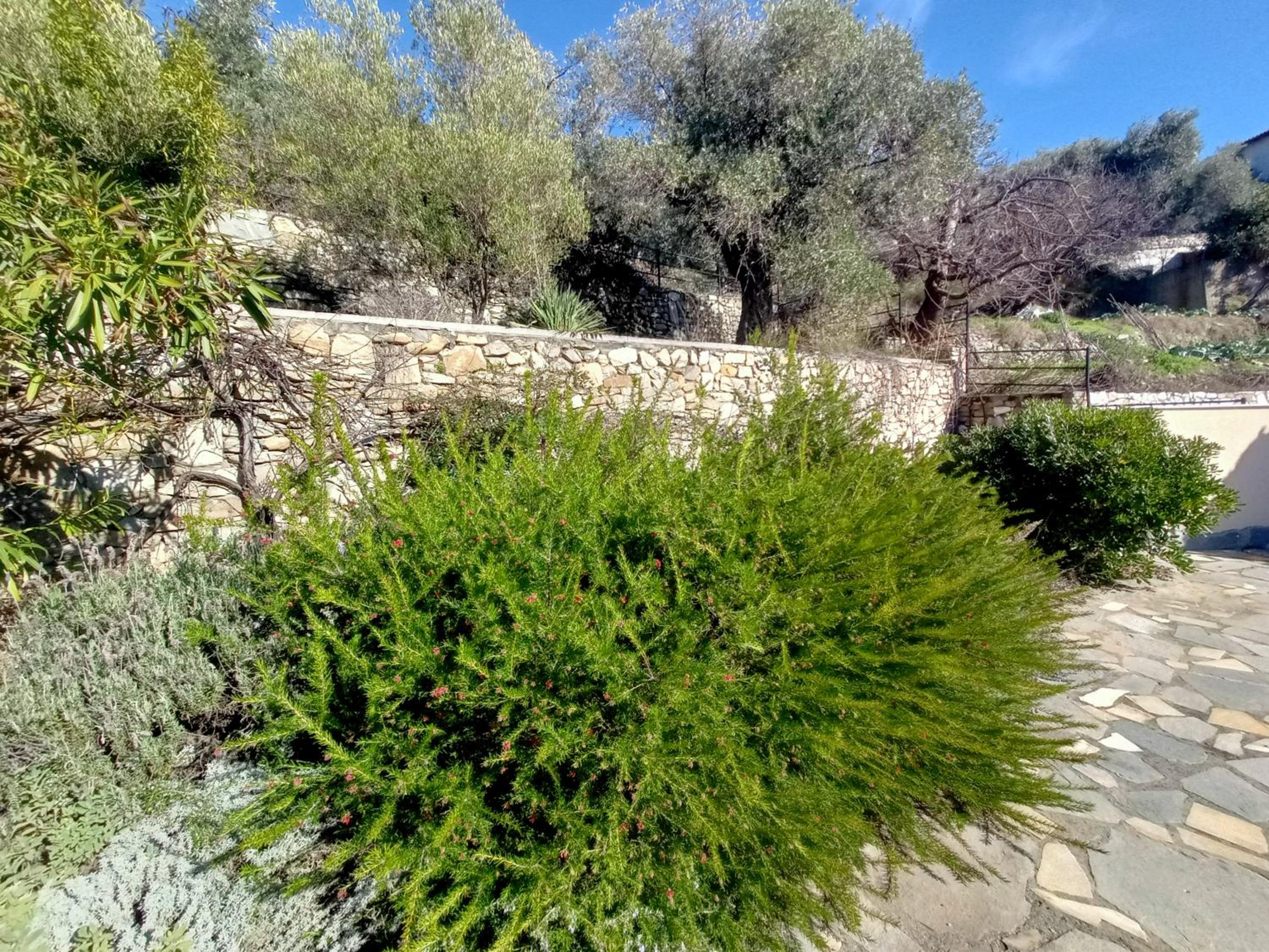 Villa Diana