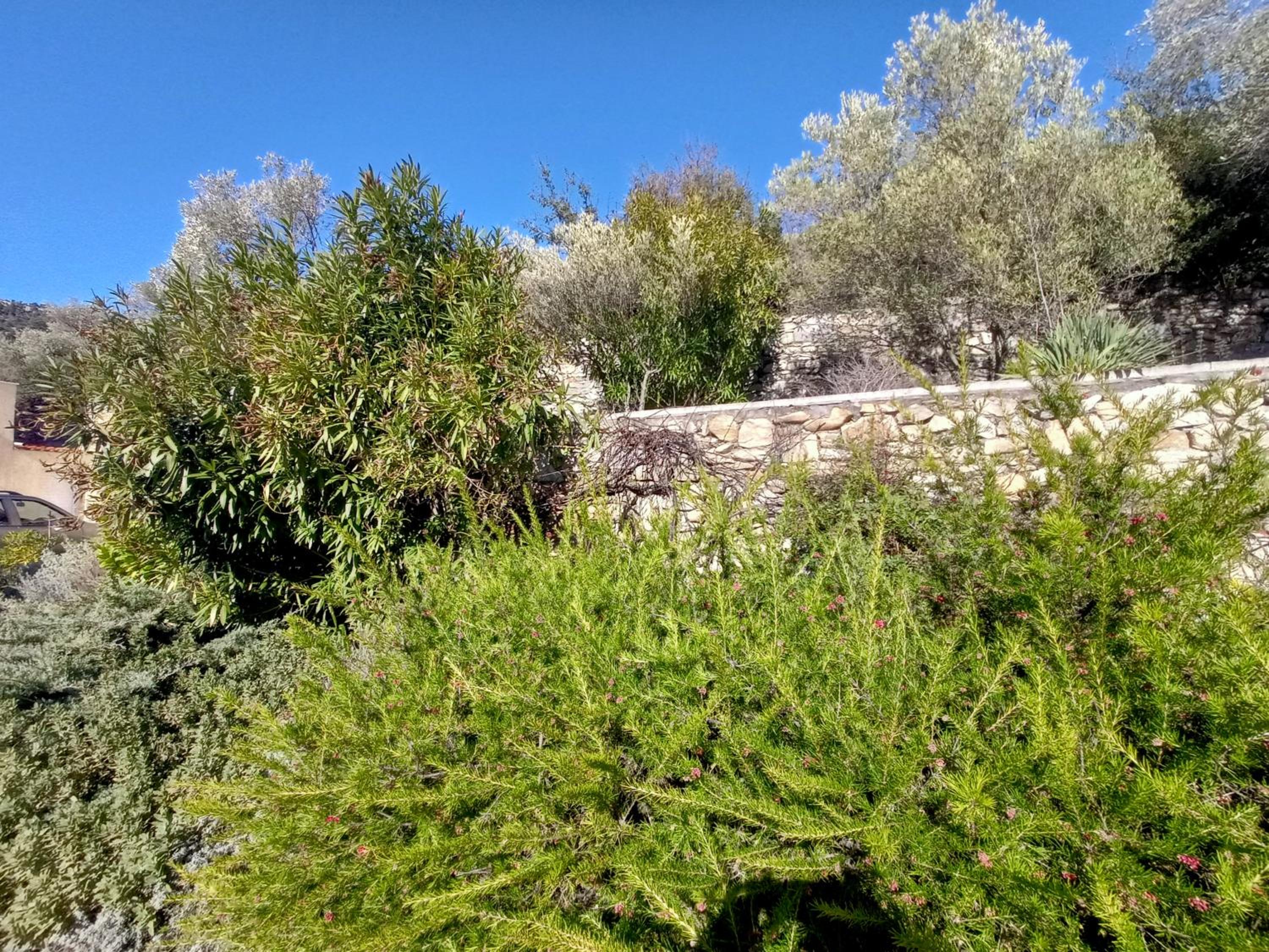 Villa Diana