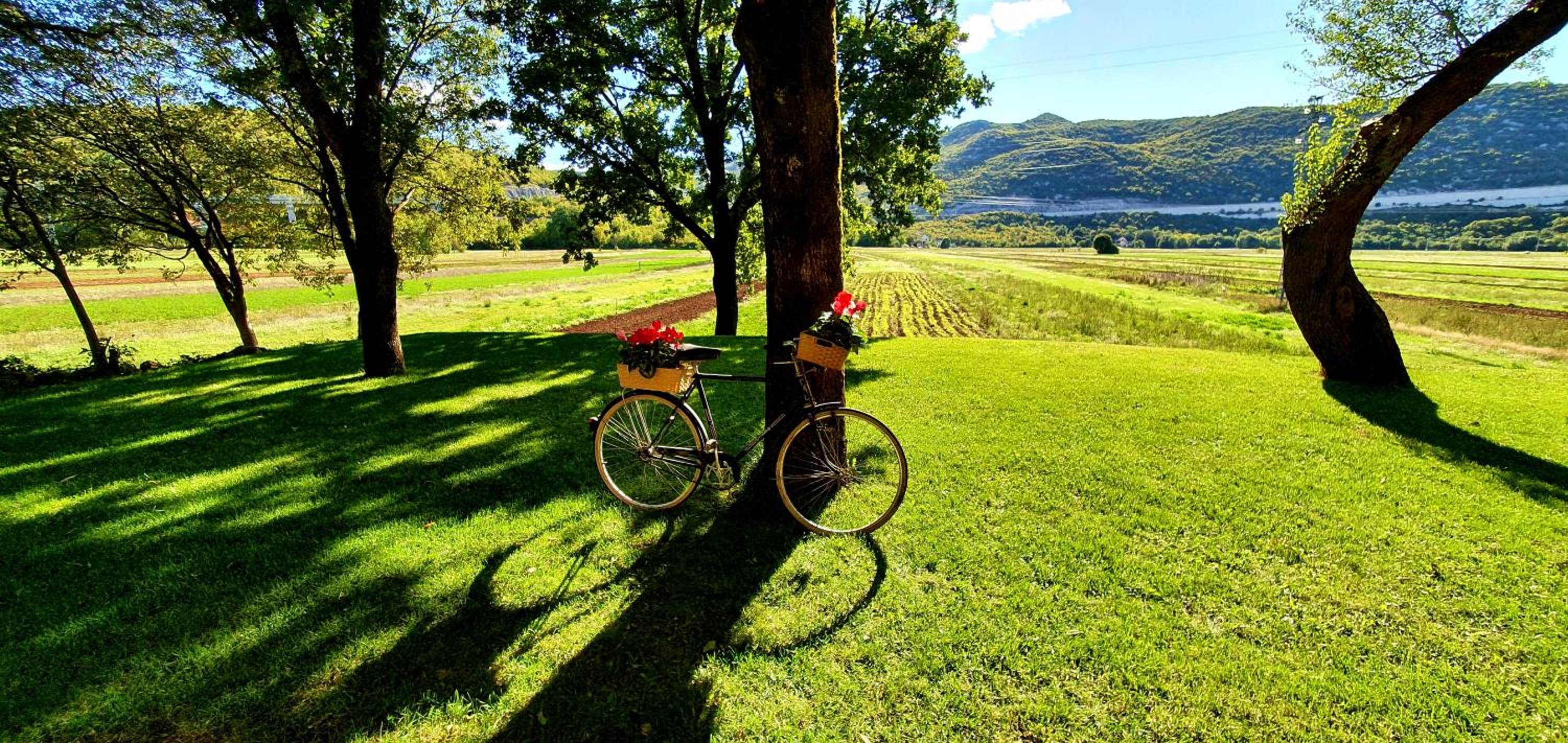 Villa Breeze - perfect getaway in untouched nature view 2