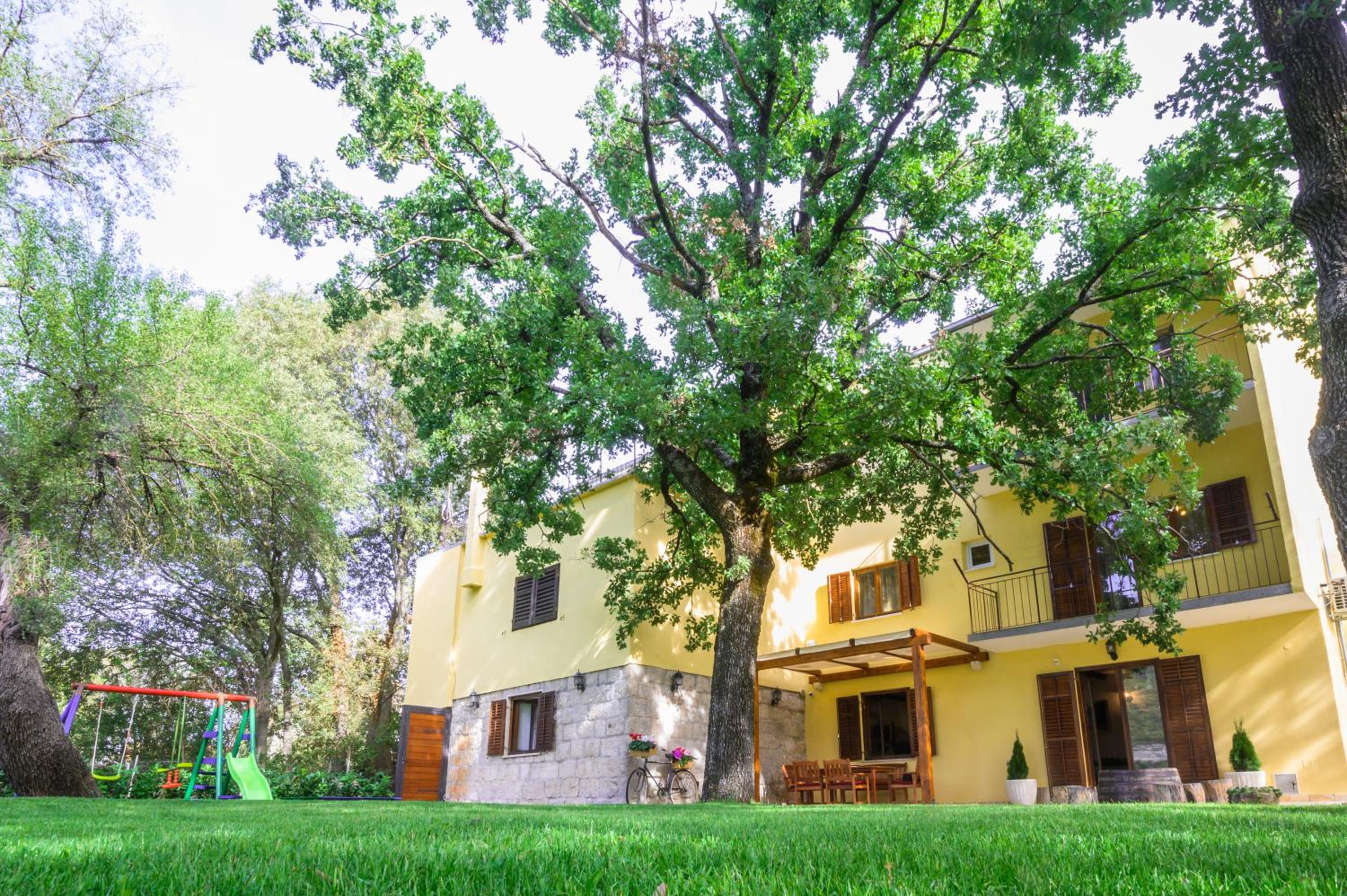 Photo 20