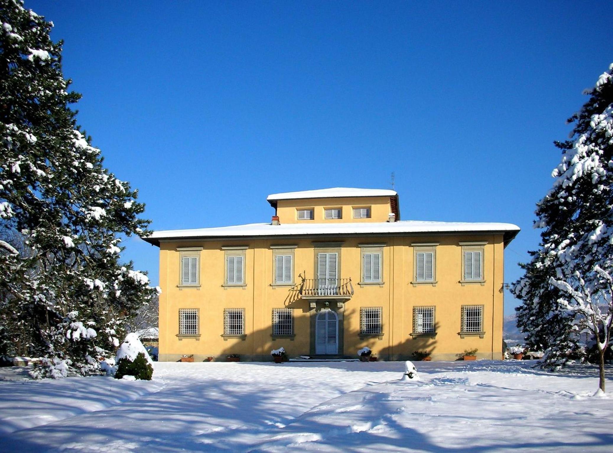 Photo 11