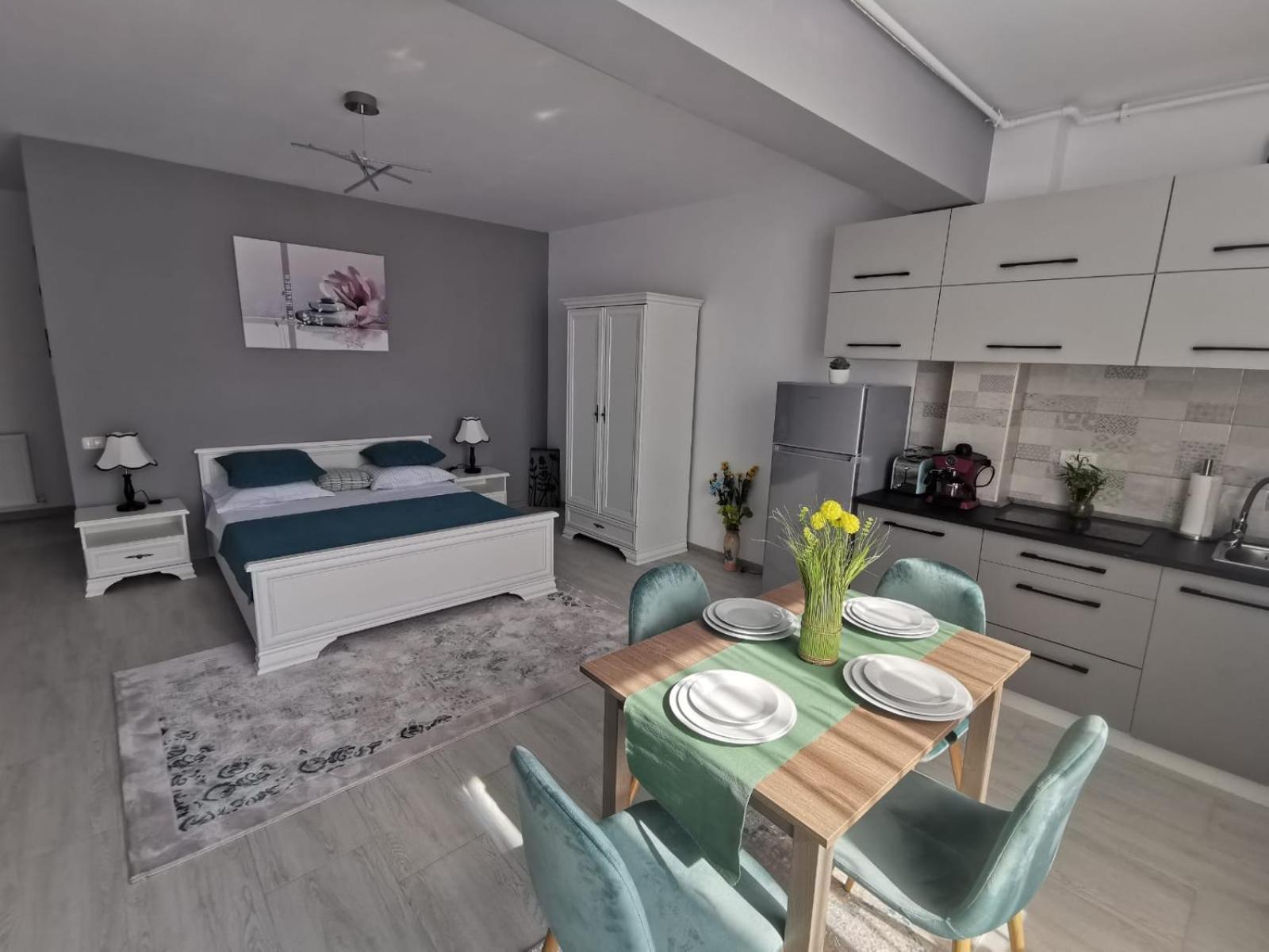 Studio Timeea Mamaia-Nord