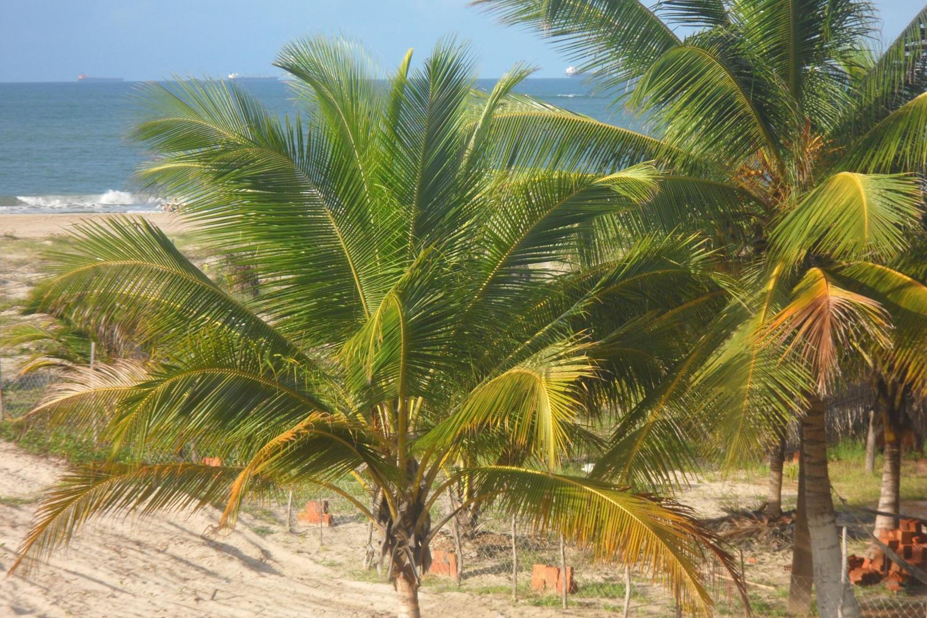 Pecem suites