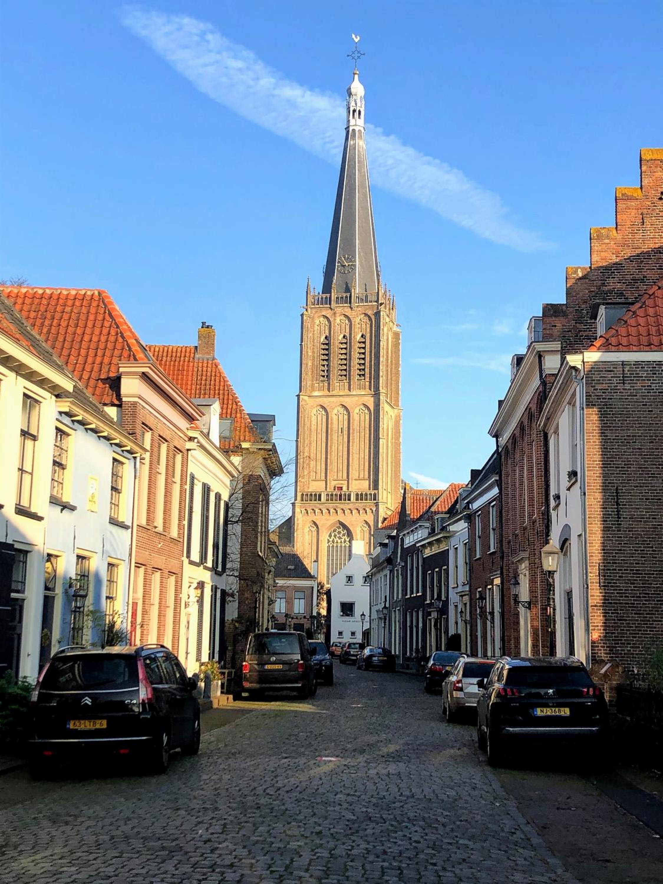 Photo 23