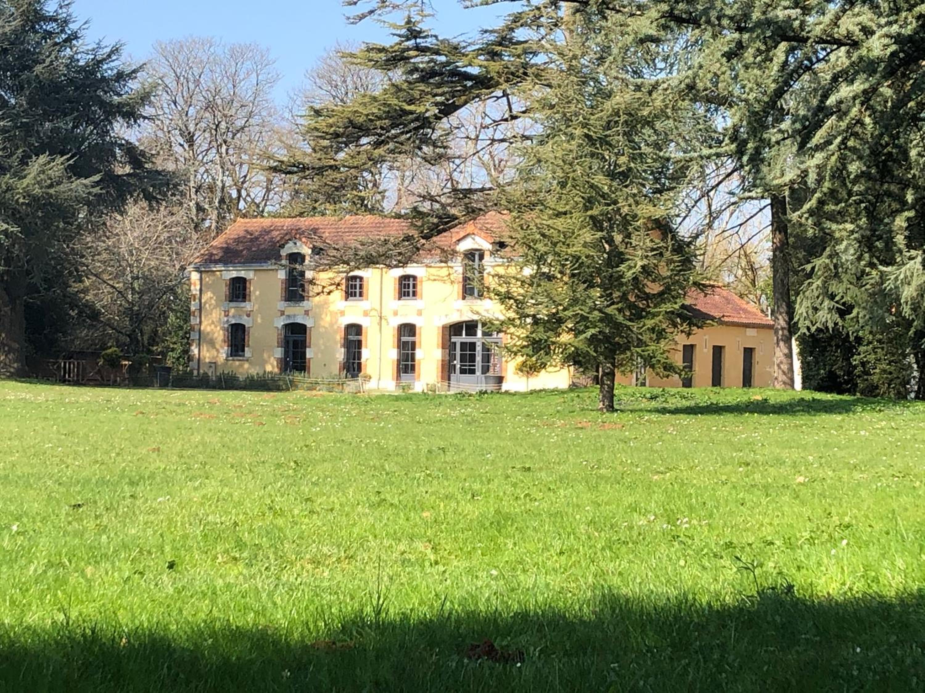 Photo 14