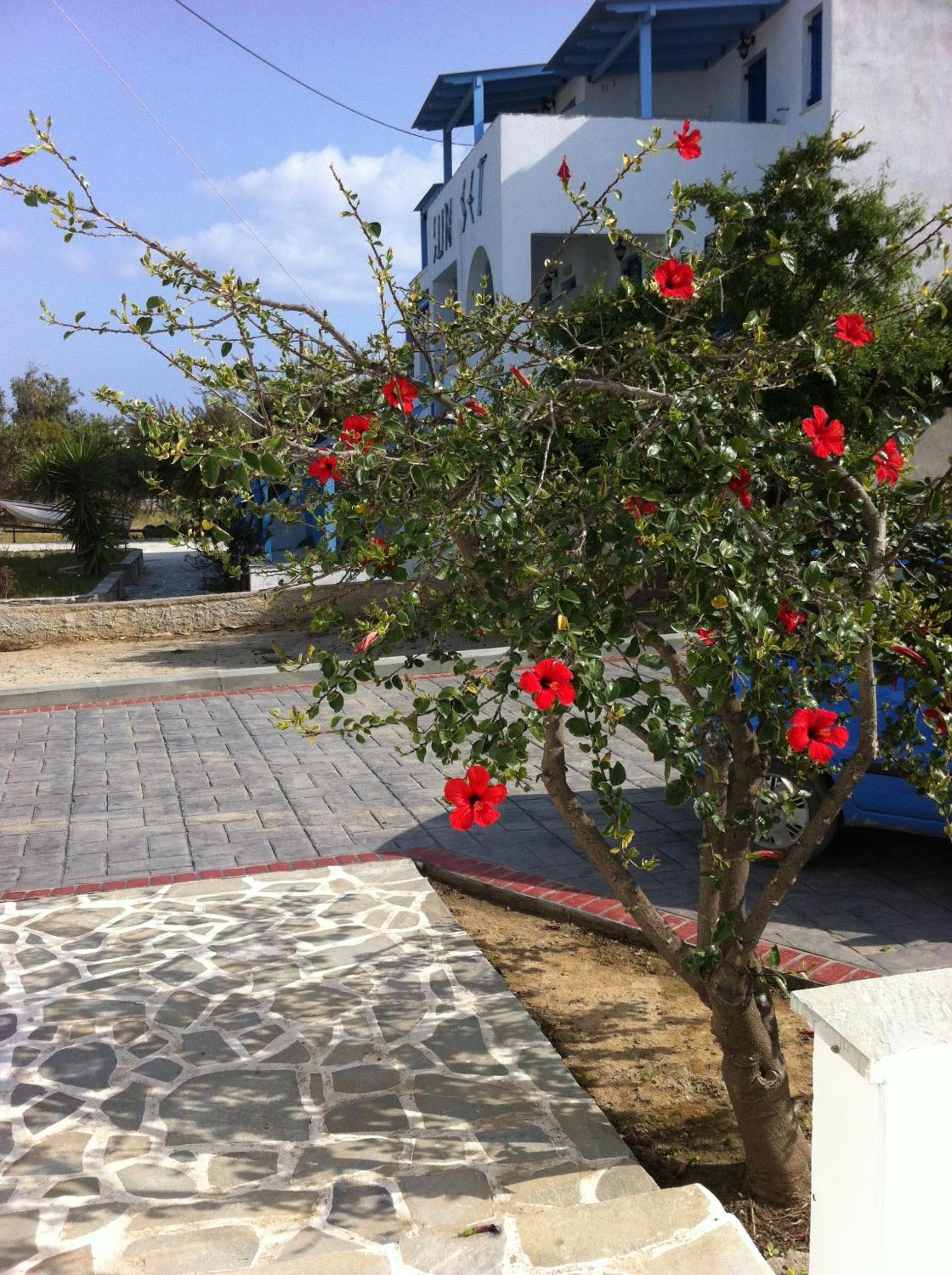 Photo 31