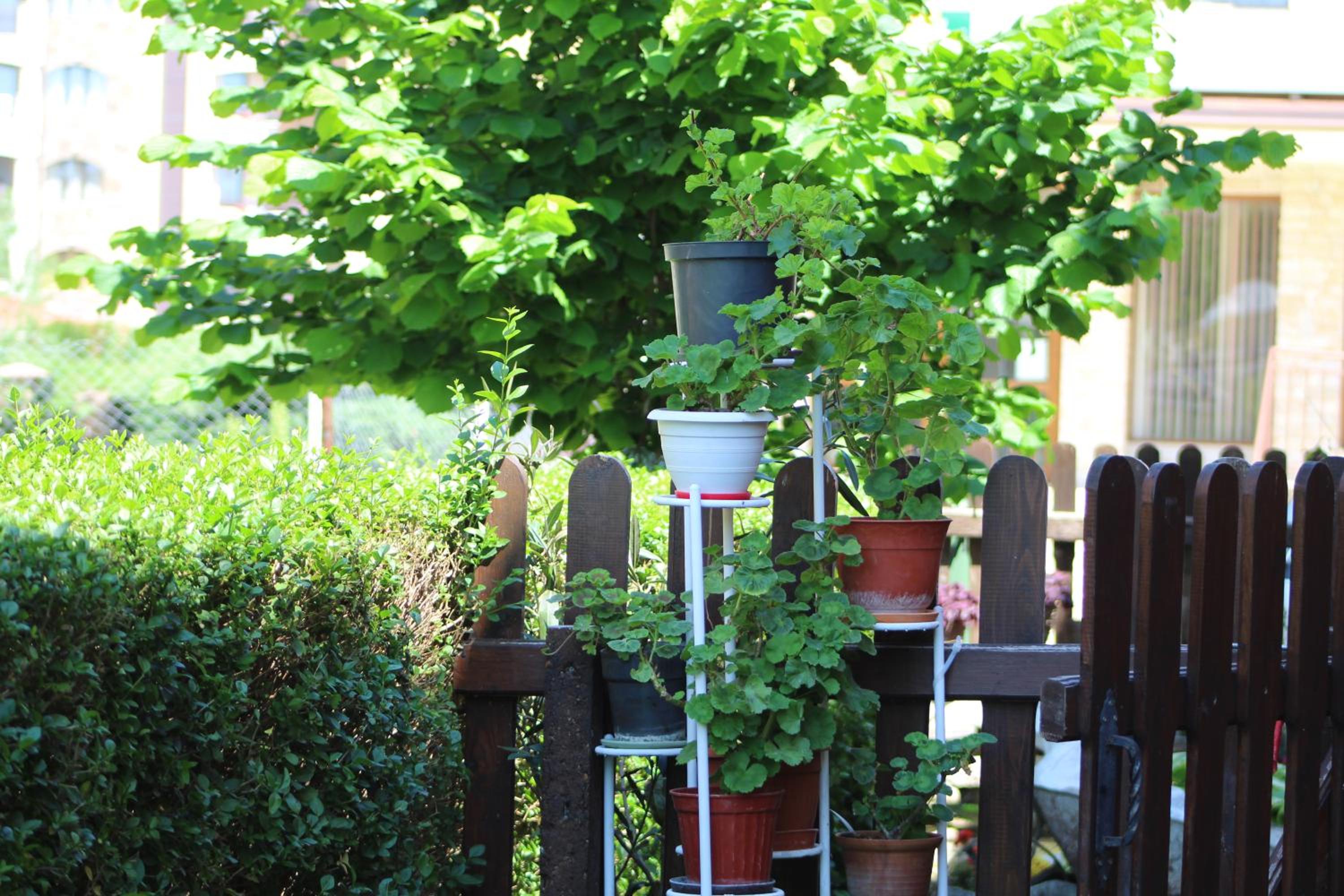 Guest House Bordo