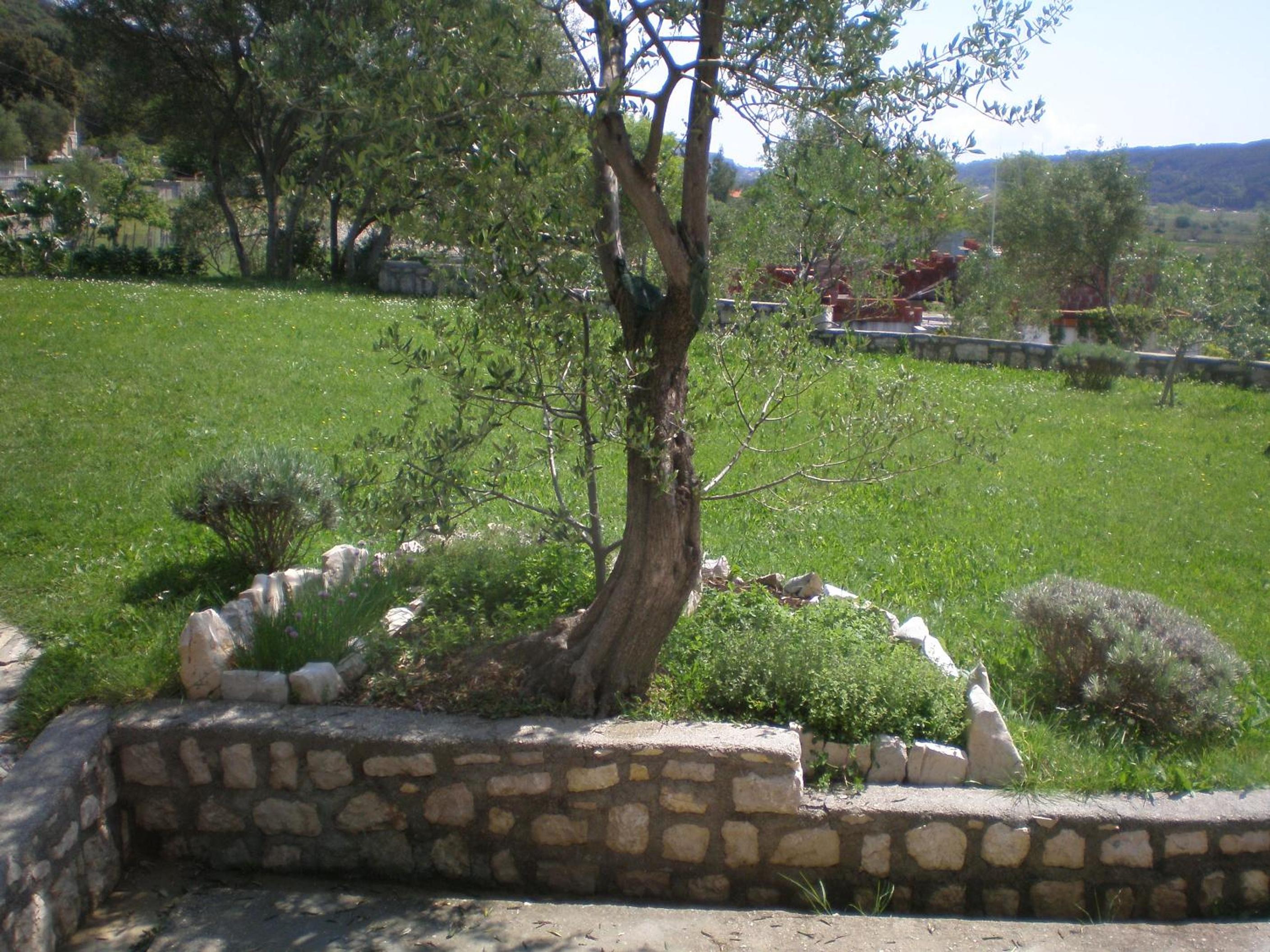 Apartment Zorka view 2