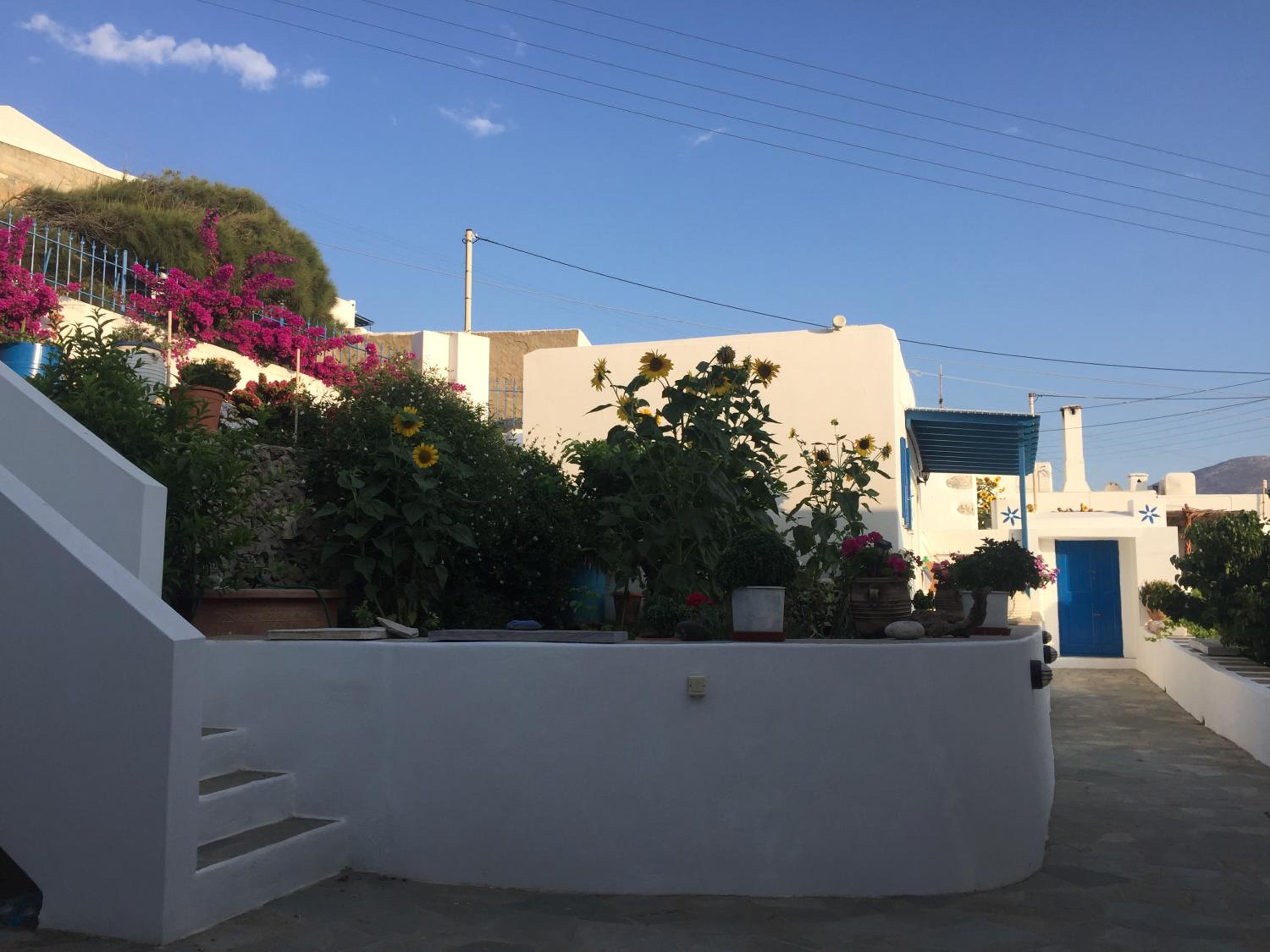 Cycladic houses in rural surrounding 4