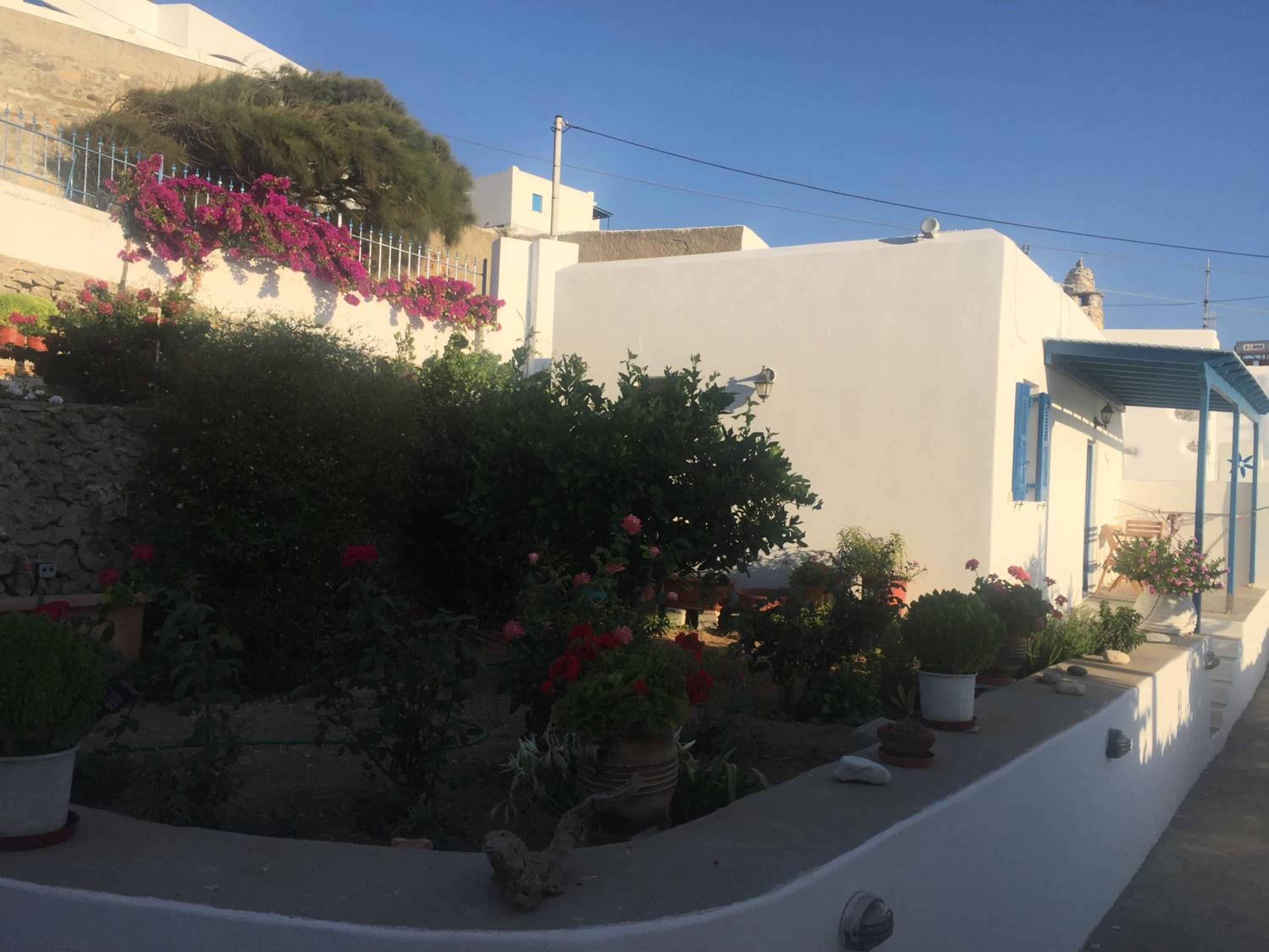 Cycladic houses in rural surrounding 4