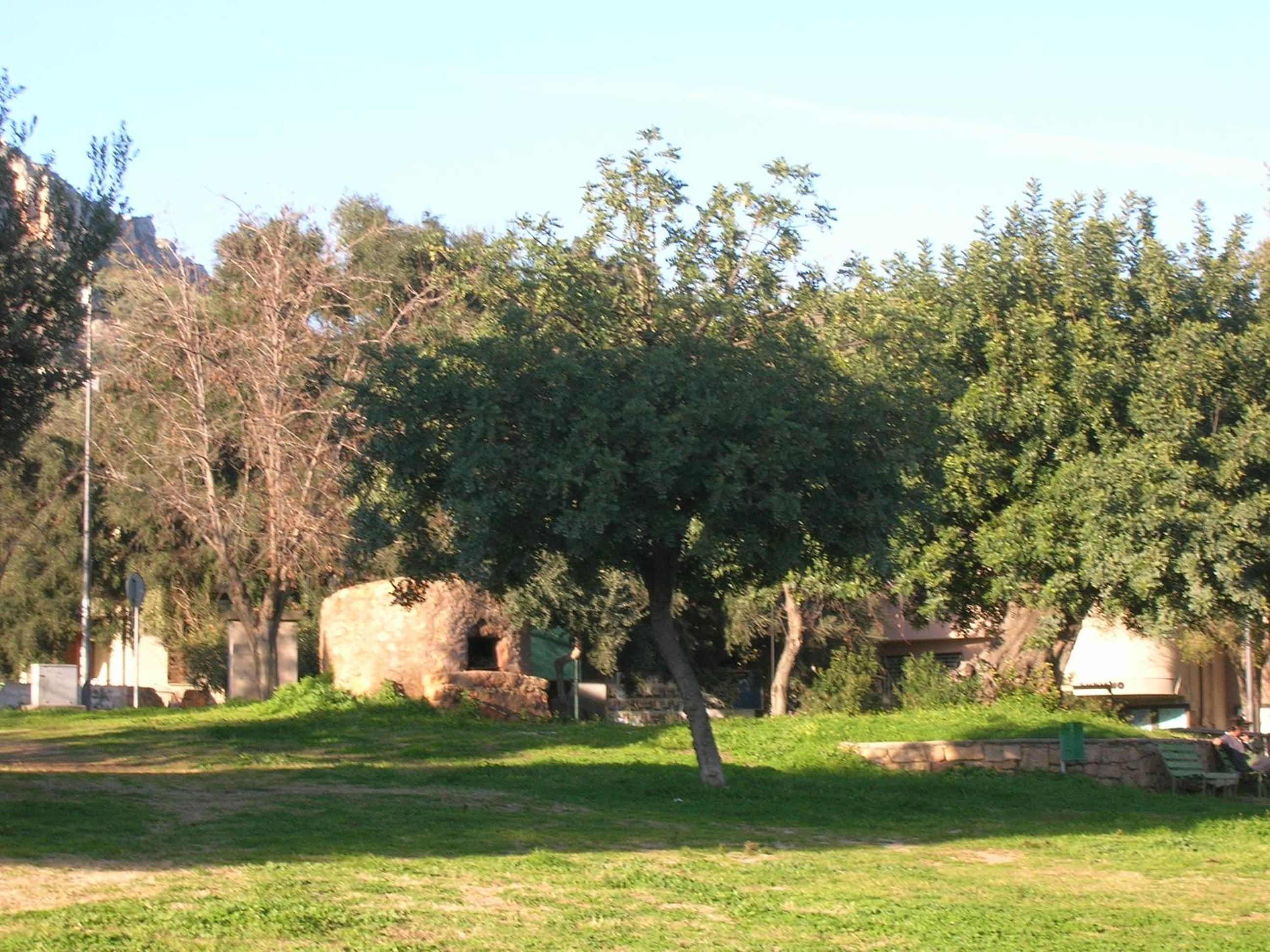 Photo 37