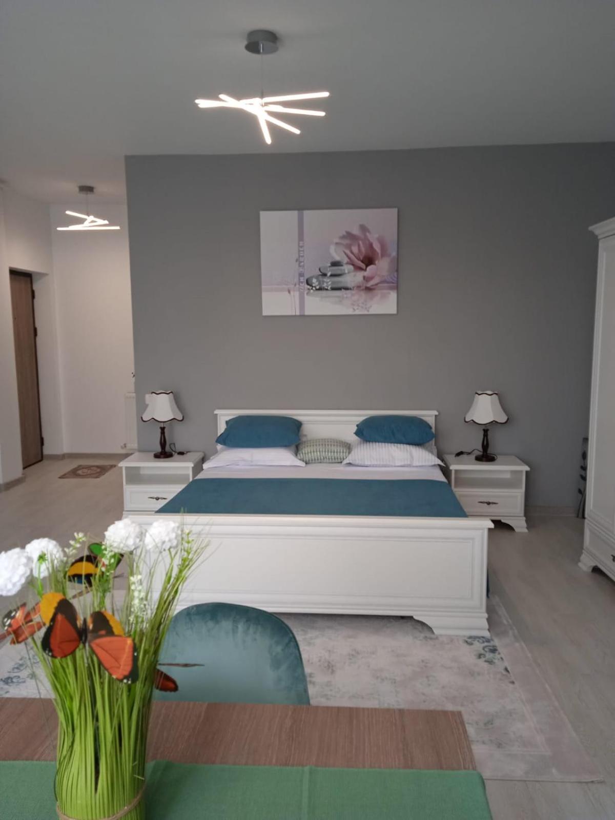 Studio Timeea Mamaia-Nord