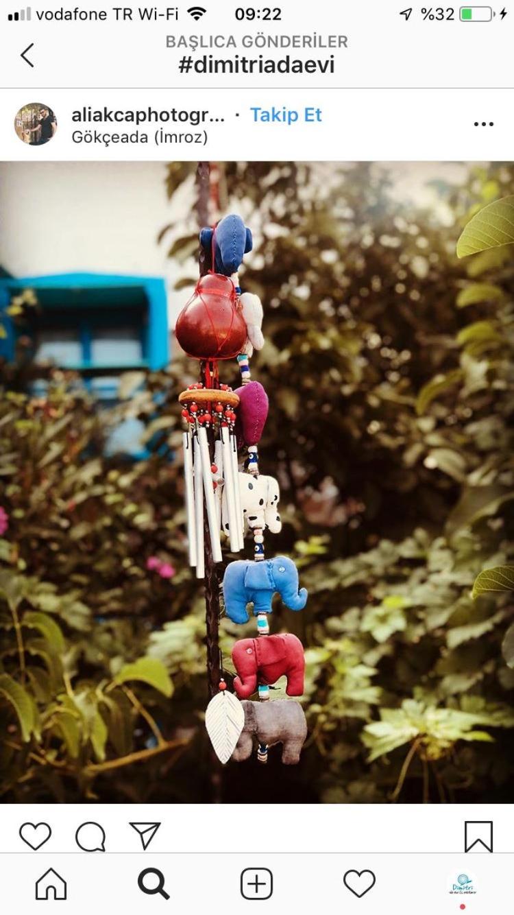 Photo 43