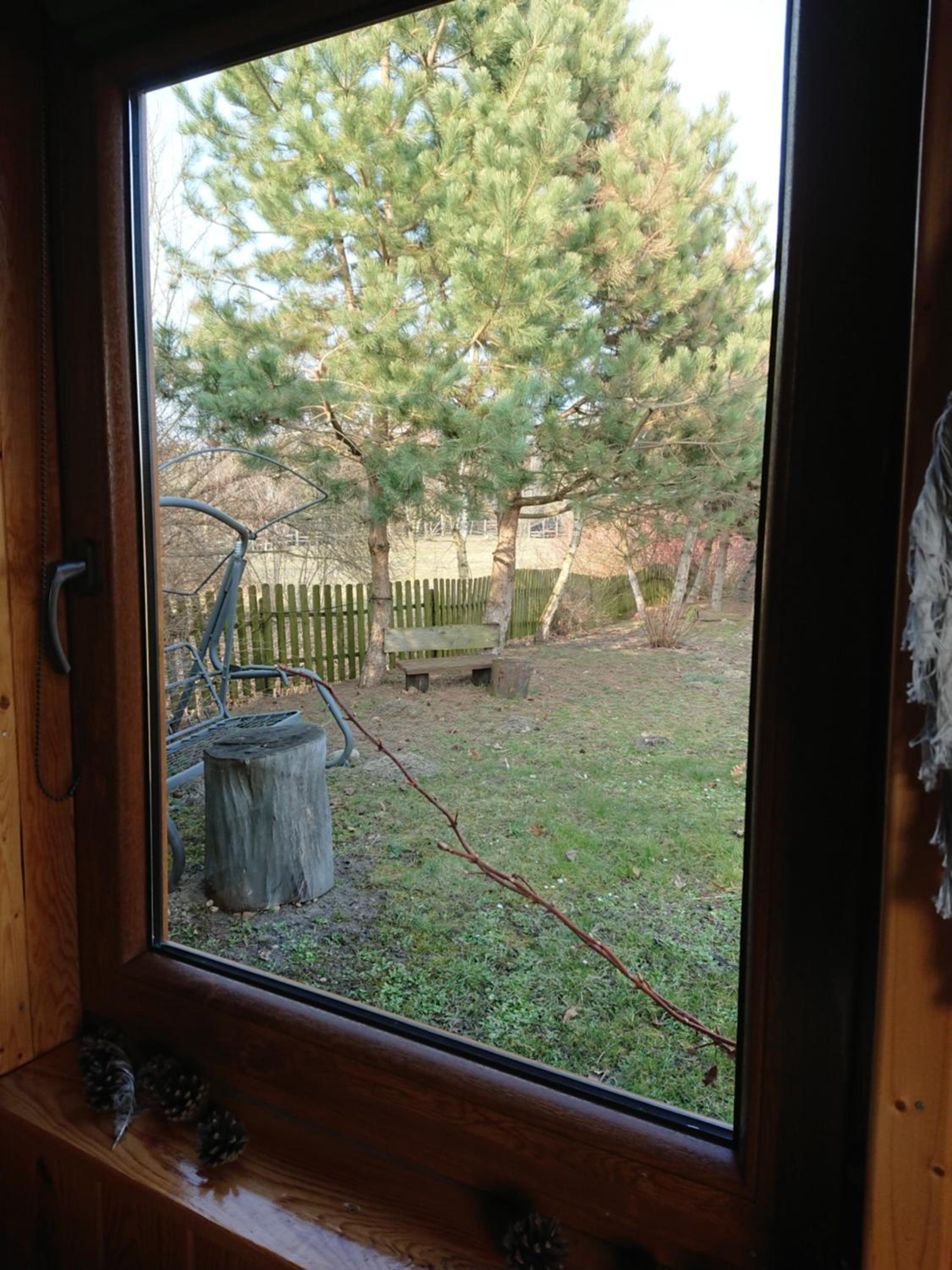 Photo 39