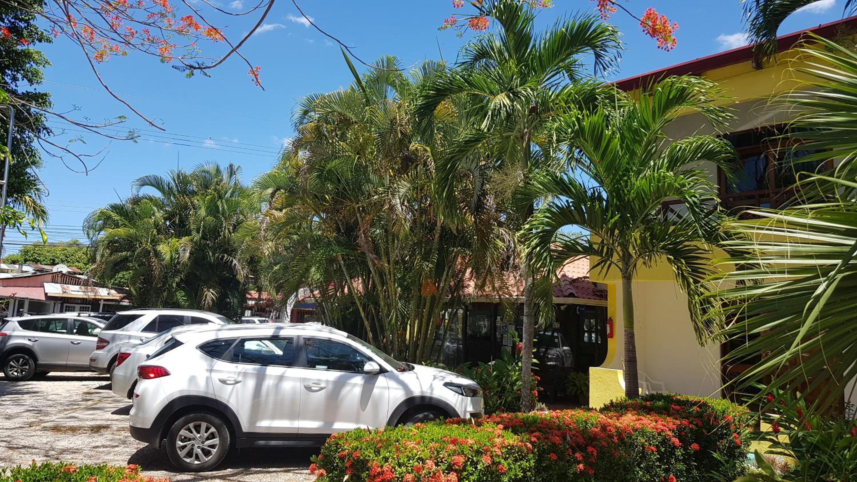 Guanacaste - Costa Rica Vacations - Samara Beach Hotel - Property Image 5