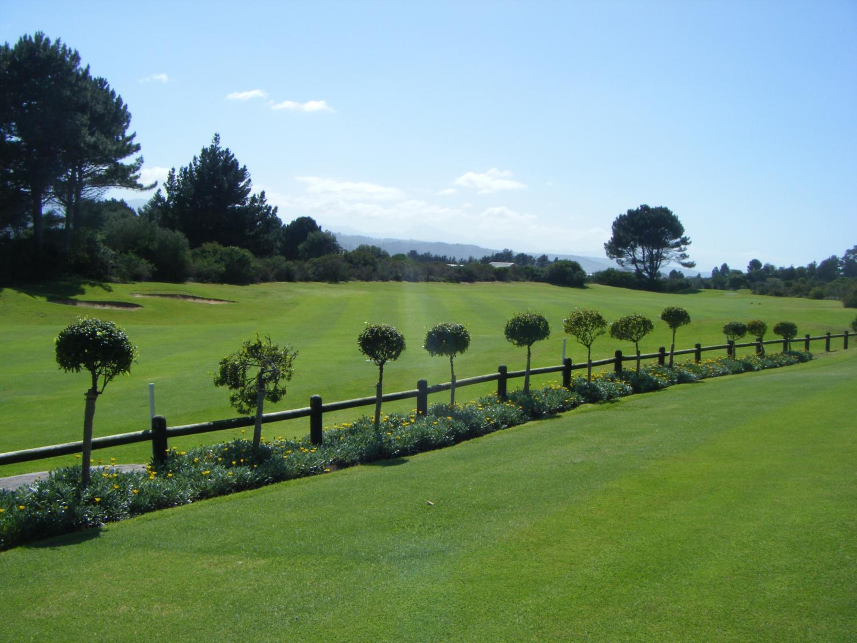 Green Goose self catering villa with pool view 4