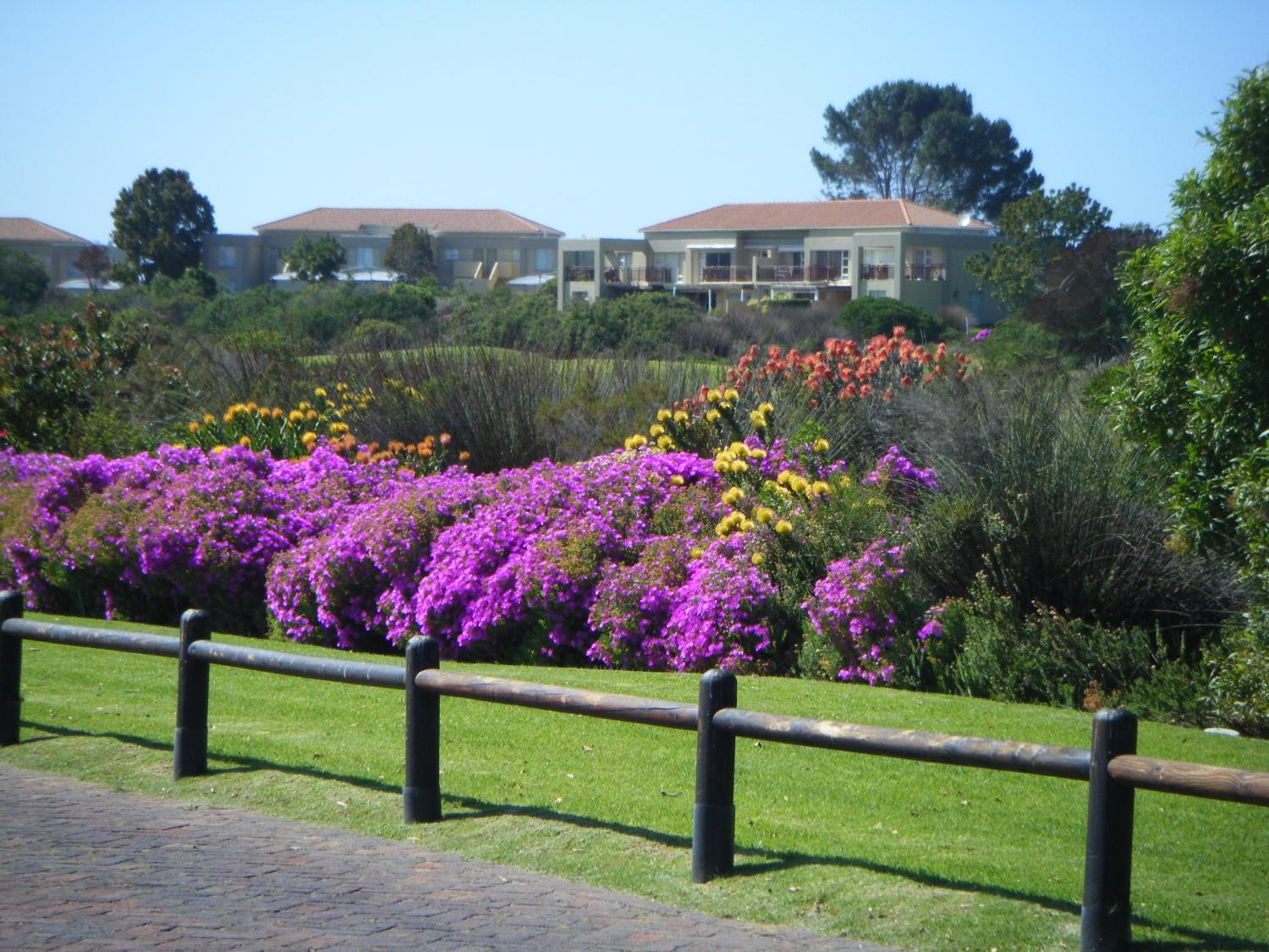 Green Goose self catering villa with pool view 5