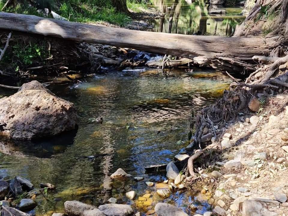 Shady Creek Eco Cabin, Mudgee, Peaceful Country Getaway