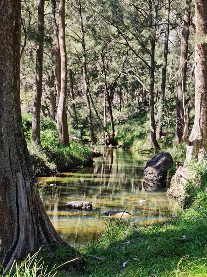 Shady Creek Eco Cabin, Mudgee, Peaceful Country Getaway