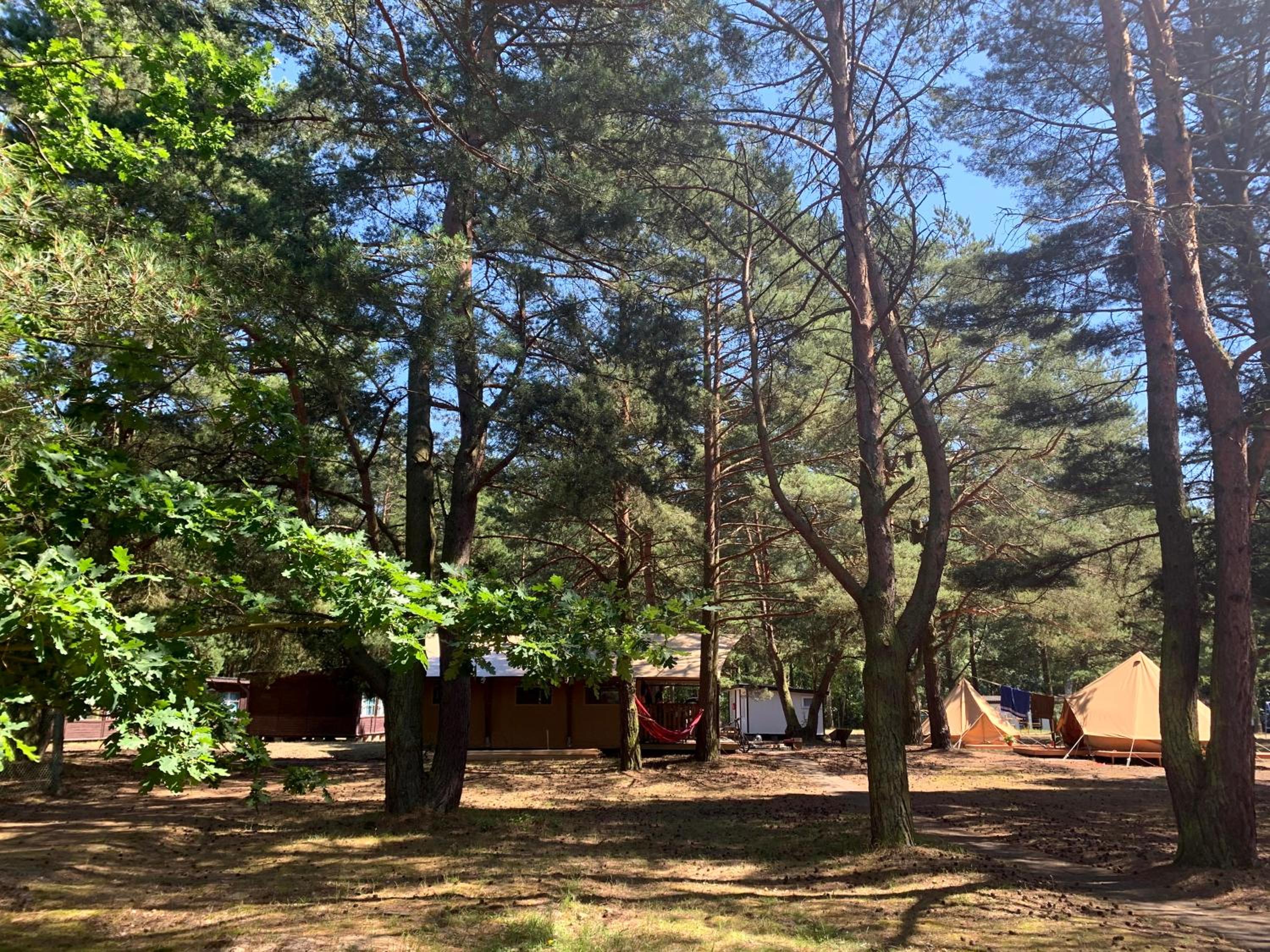 Camp Bursztynowy Las — photo 16