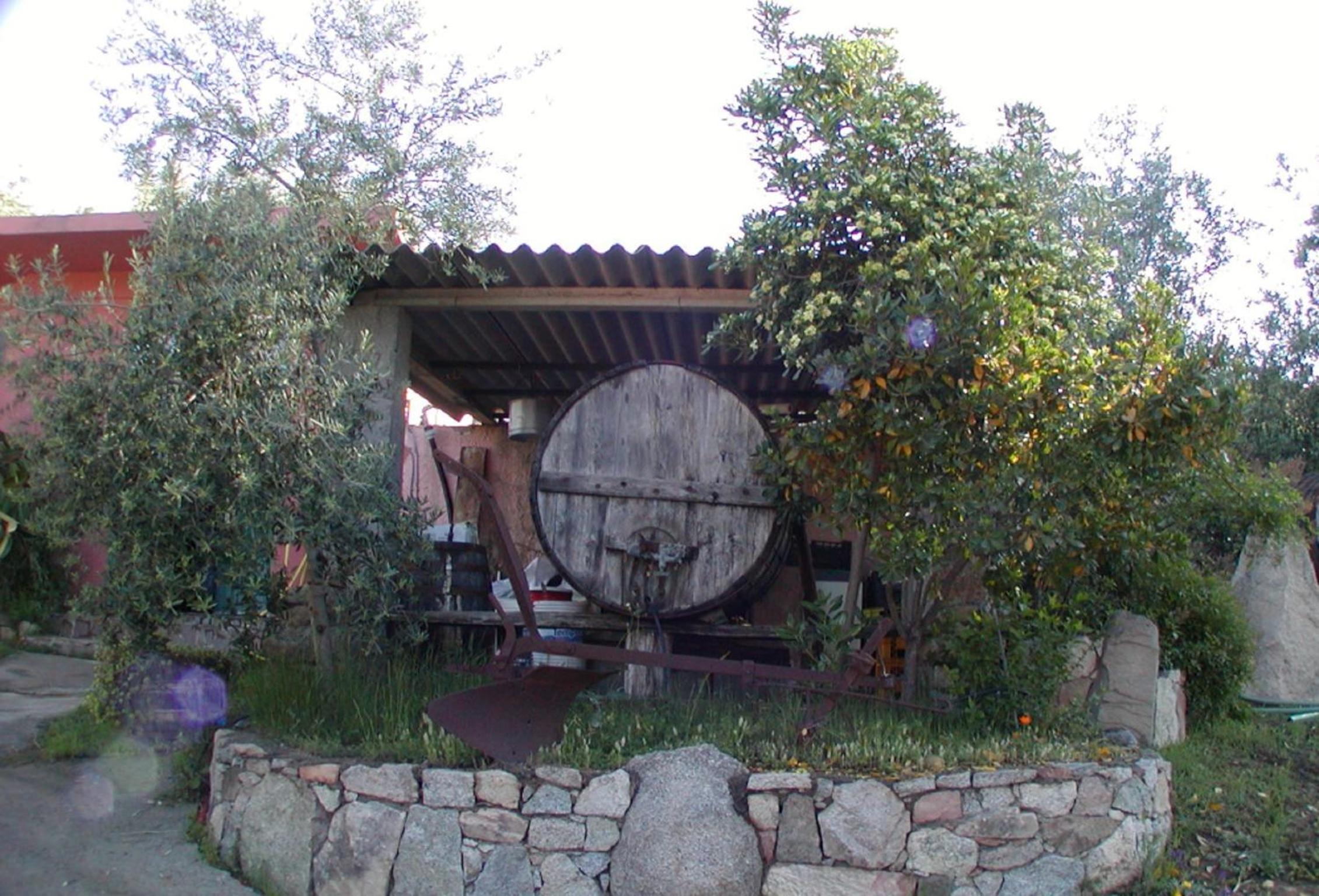 Photo 28