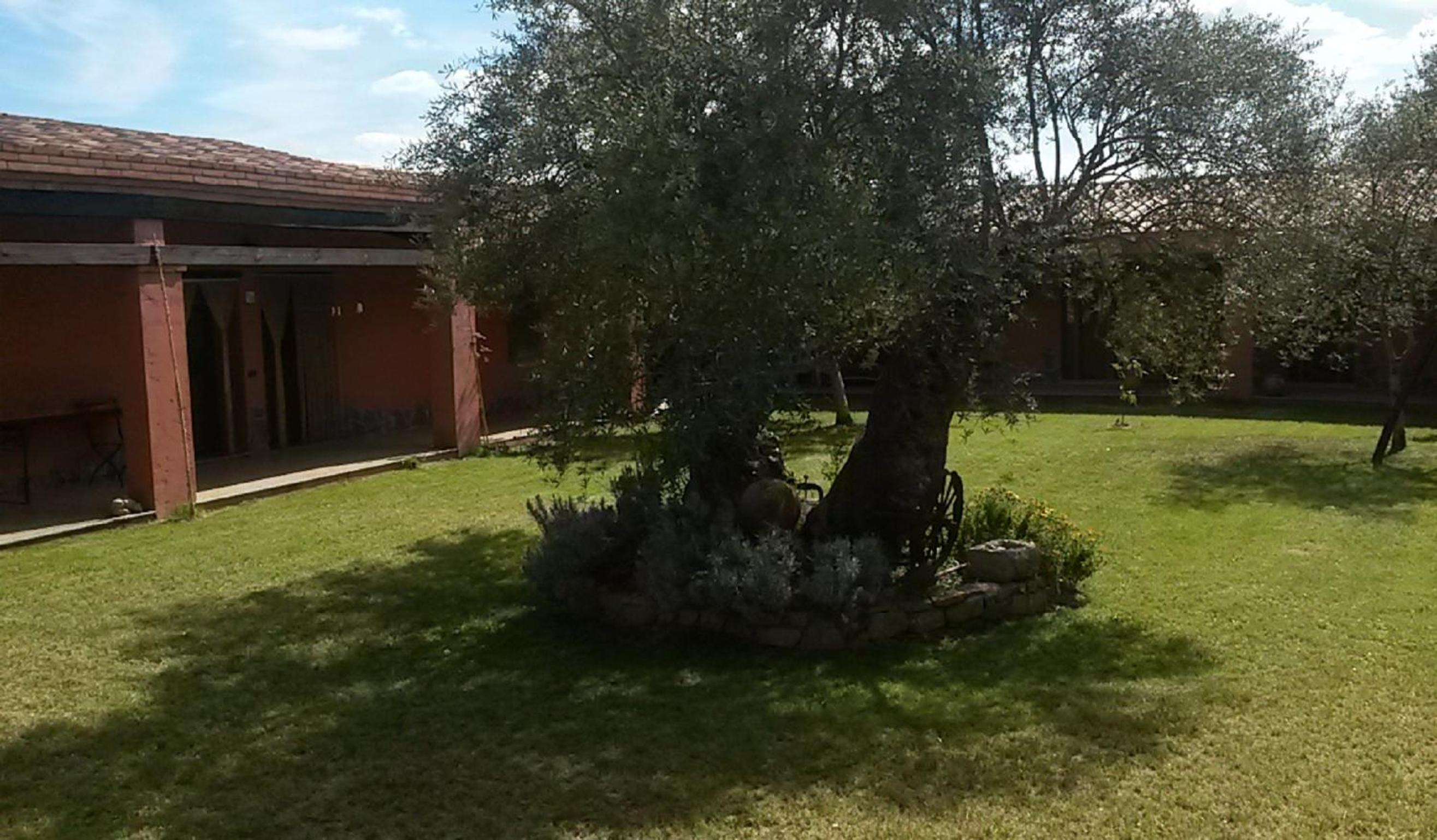 Photo 29