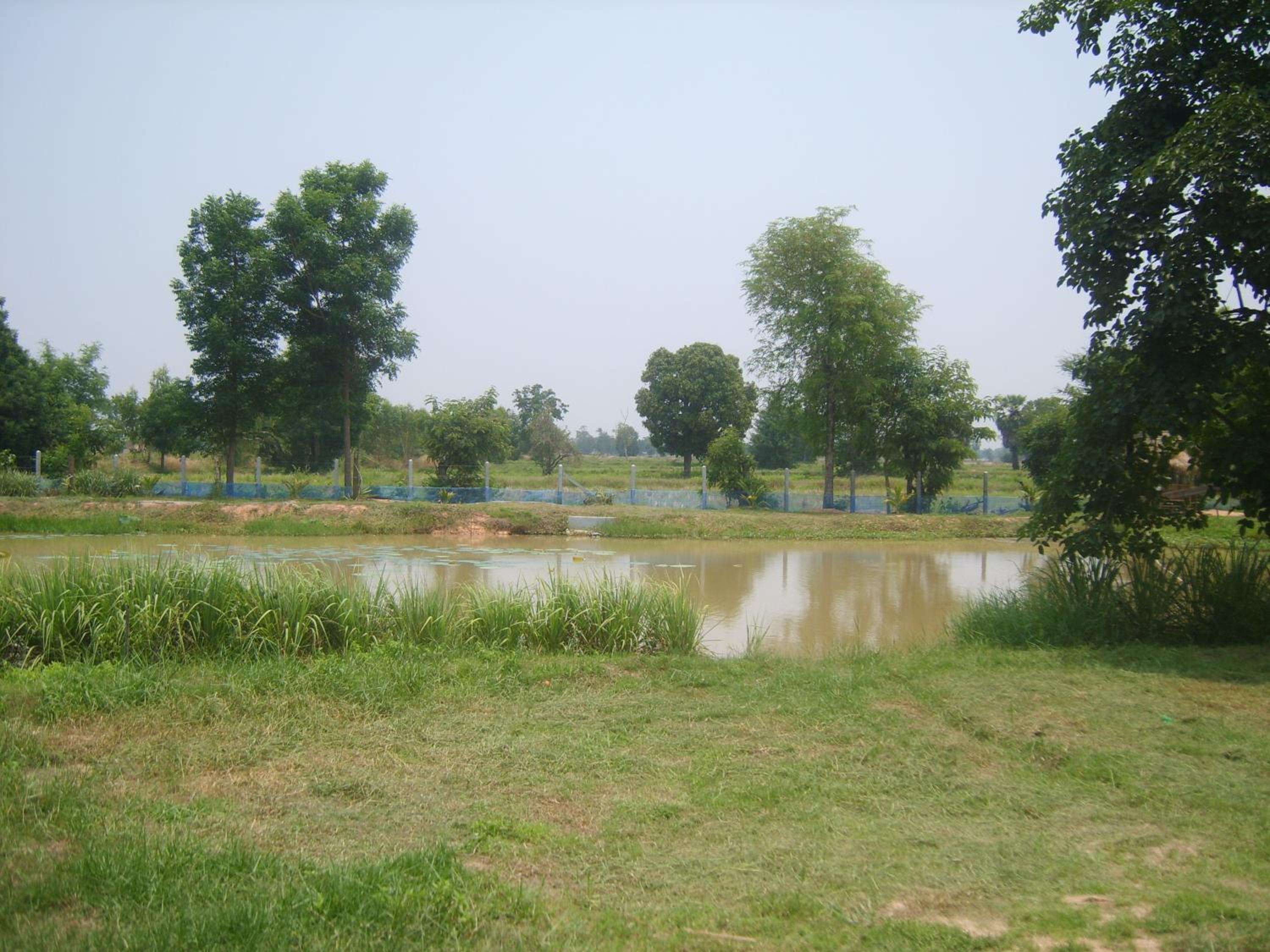children's play area
