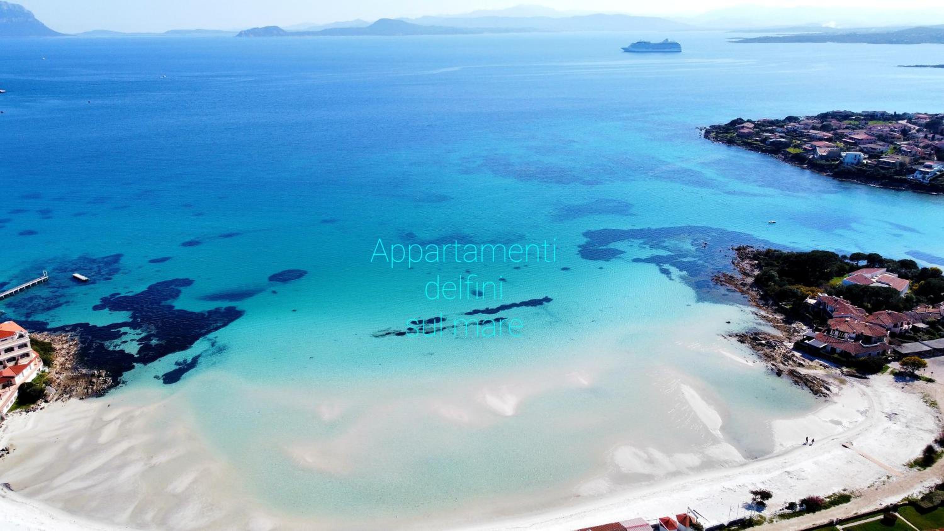 Appartamento delfini sul mare