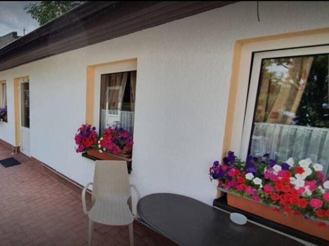 Schöne geräumige Ferienwohnung am Park