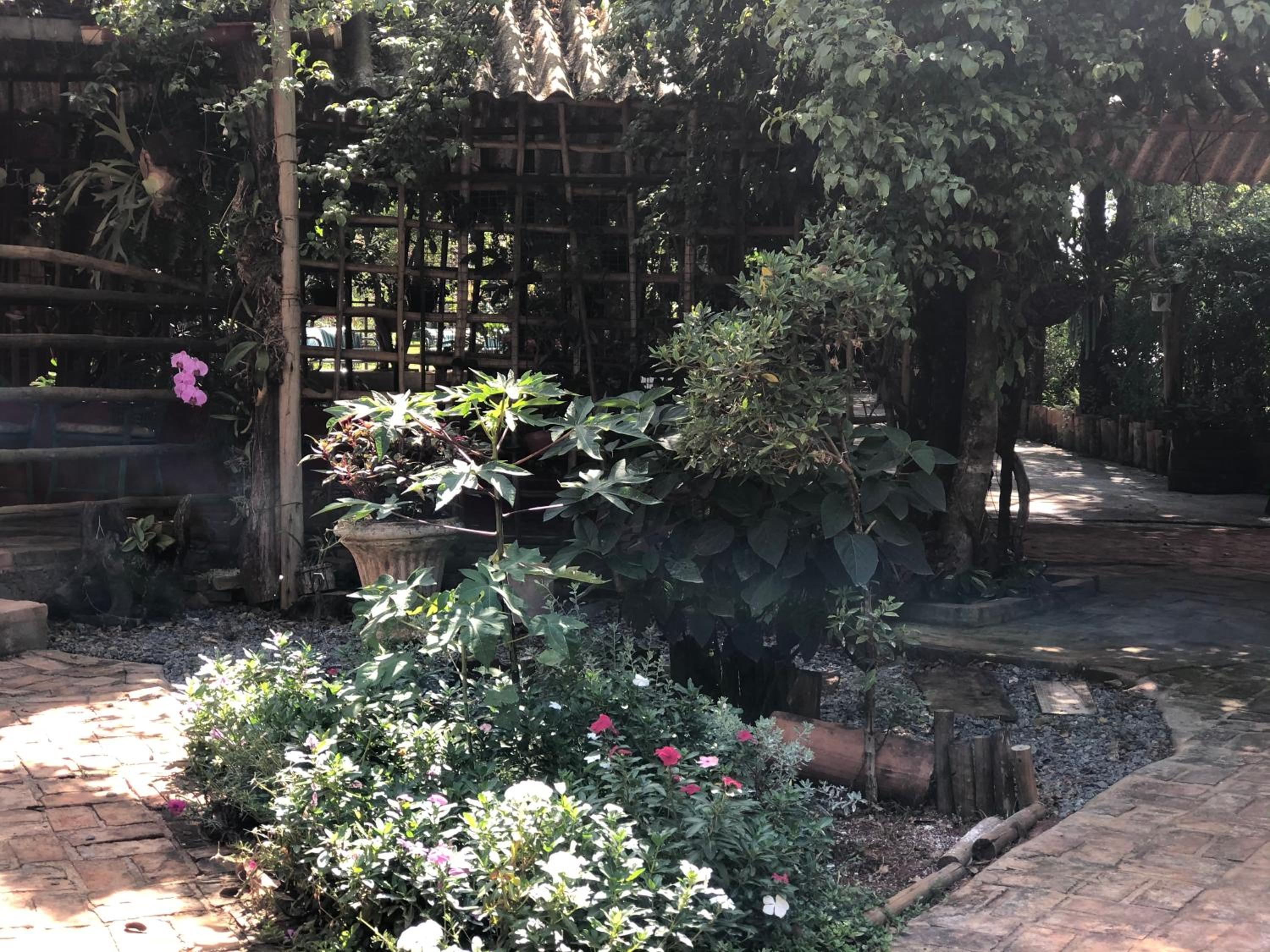 garden