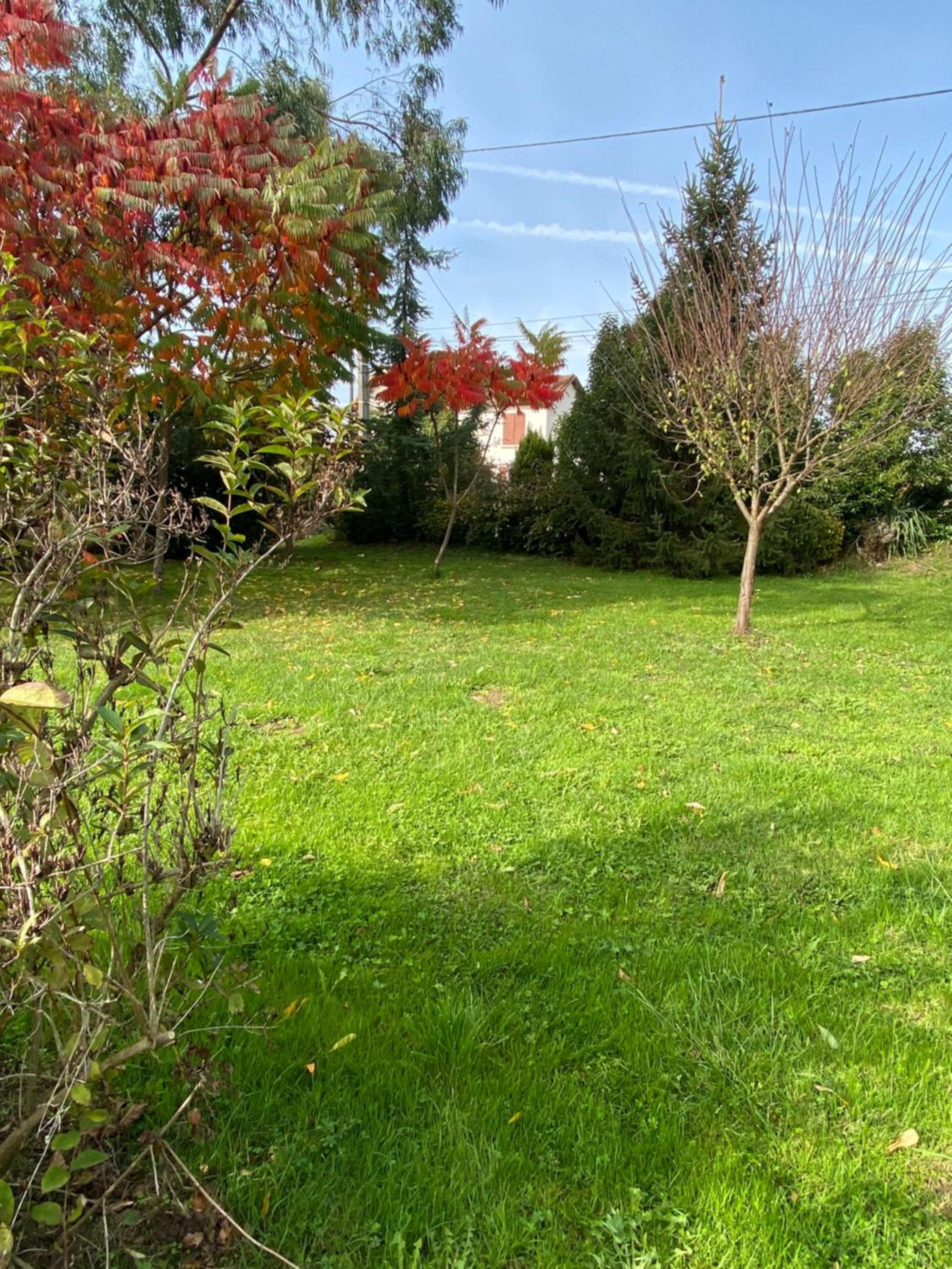 Photo 39