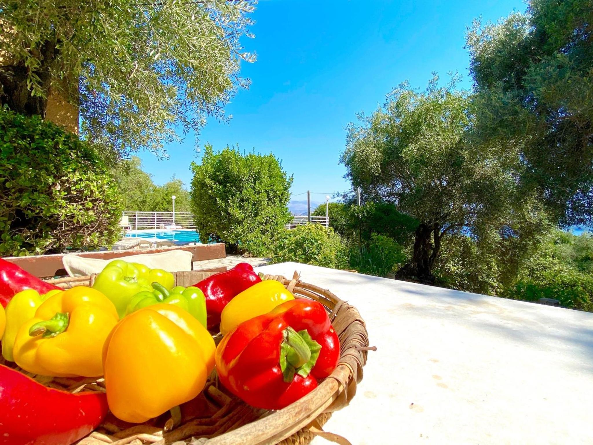 Villa Marialetta St Stephanos with private pool photo 4