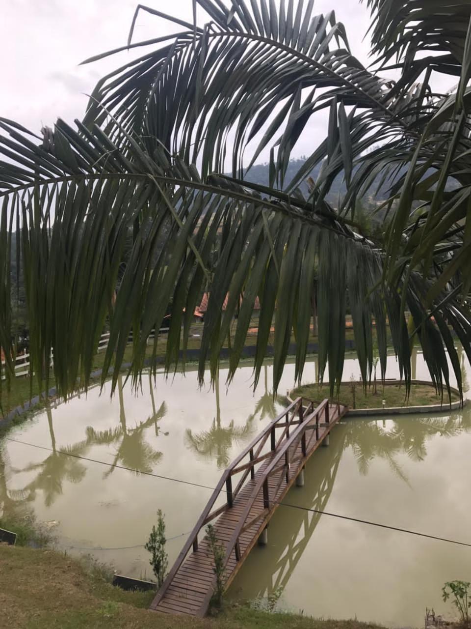 Lindo sítio com belíssima paisagem para descansar