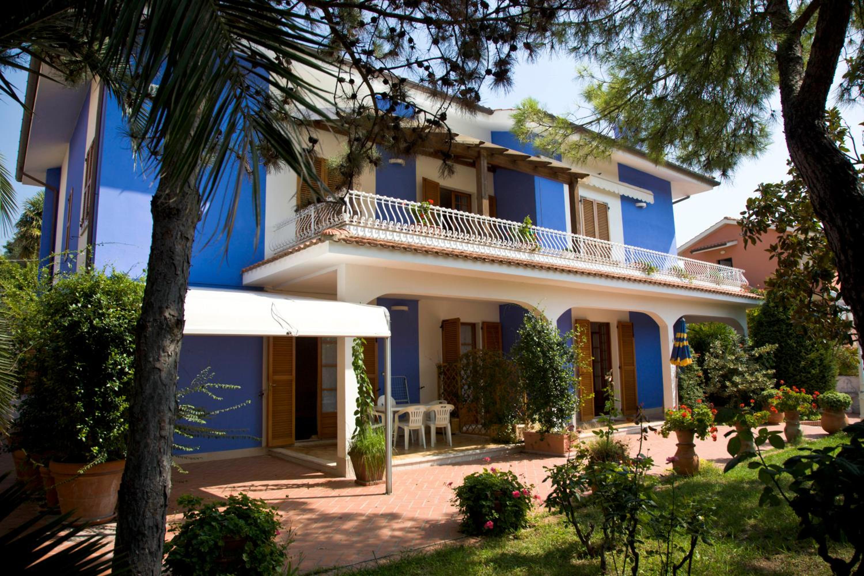 AmareNumana photo 2