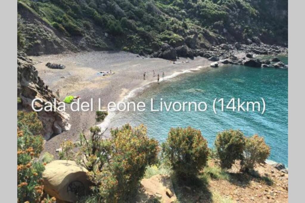 Marina Appartamento Livorno centro photo 3