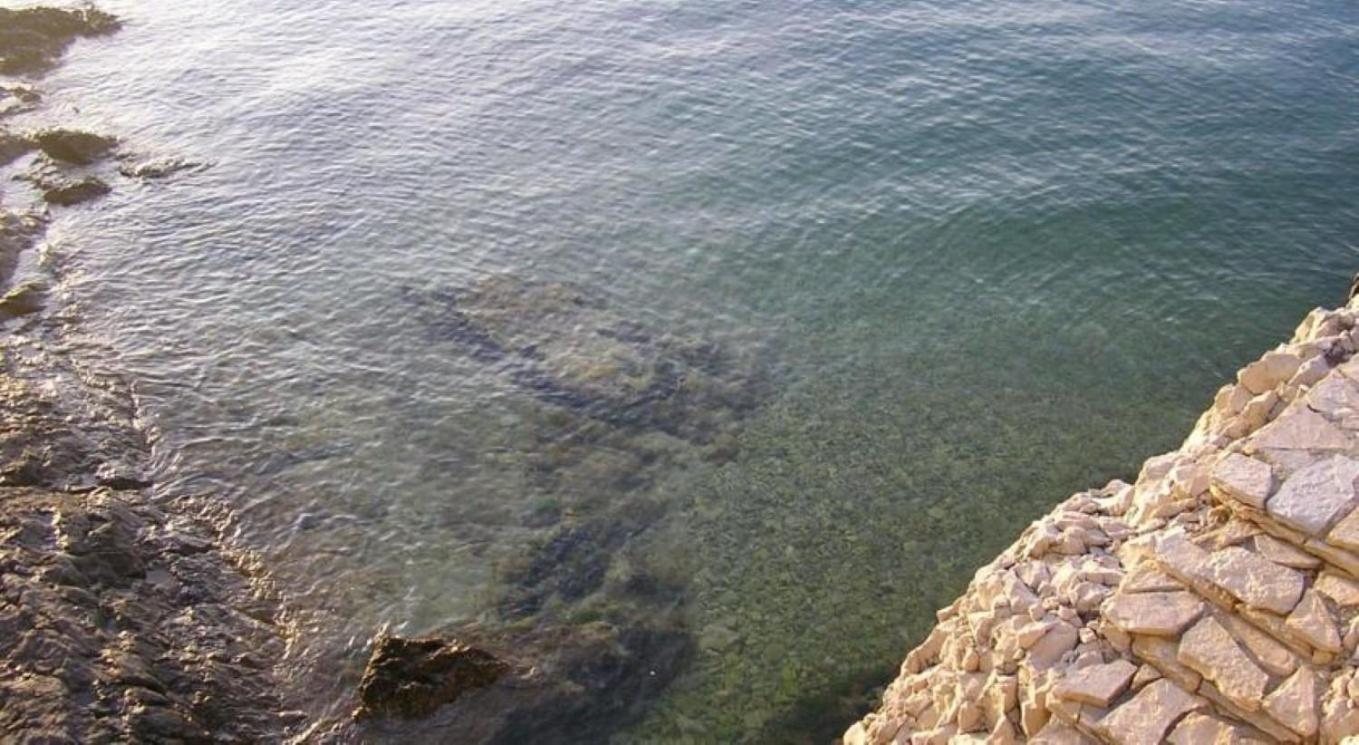 Photo 34