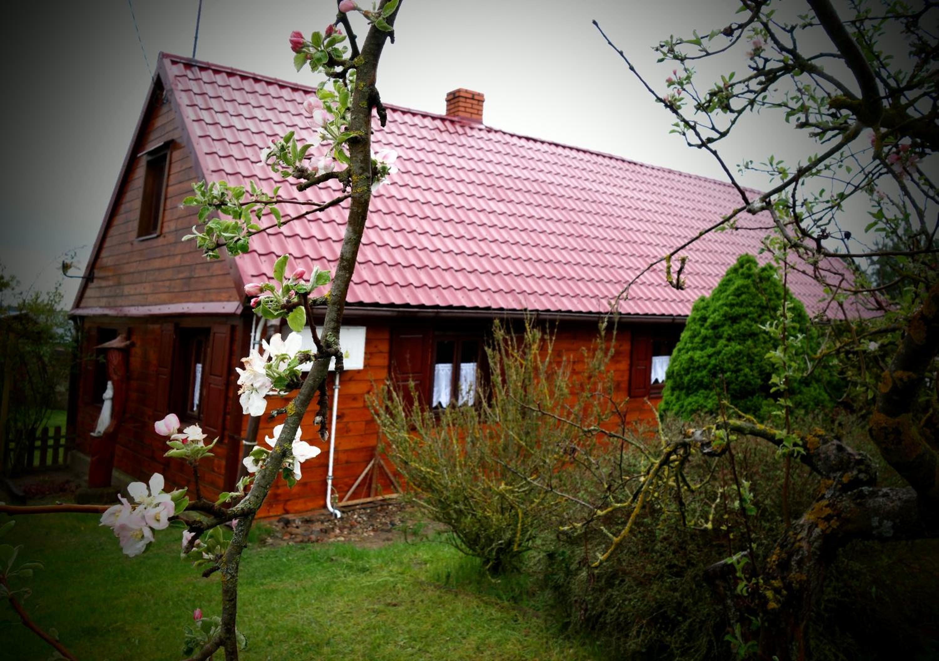 Photo 28