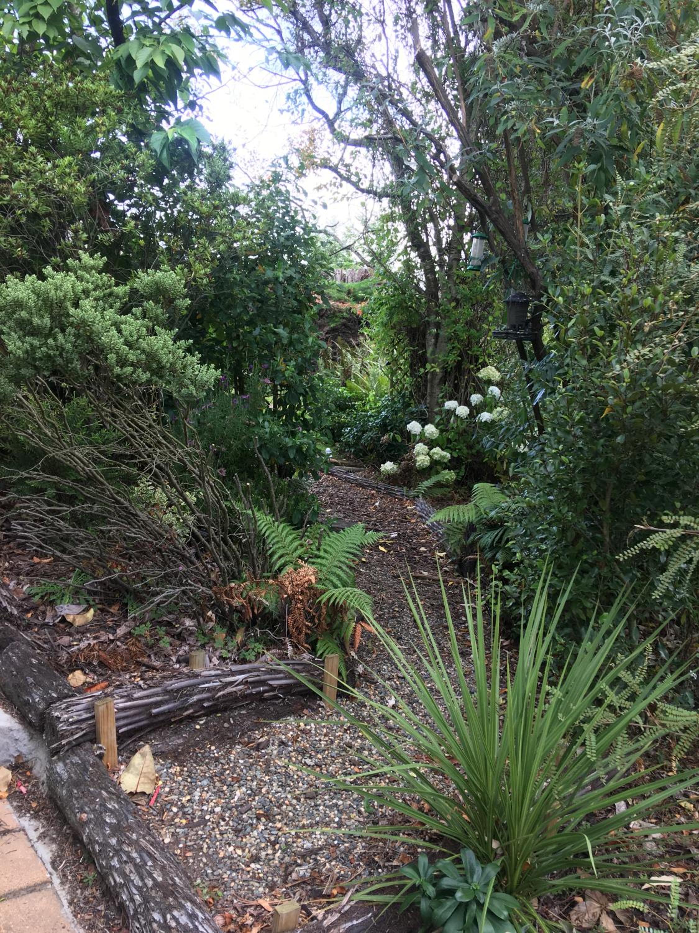 Photo 39