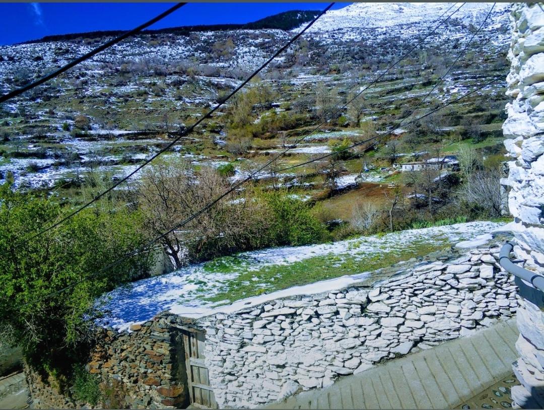 Photo 43