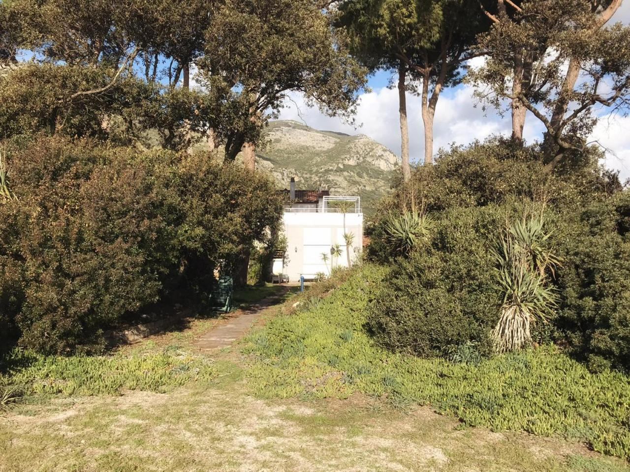 Photo 26