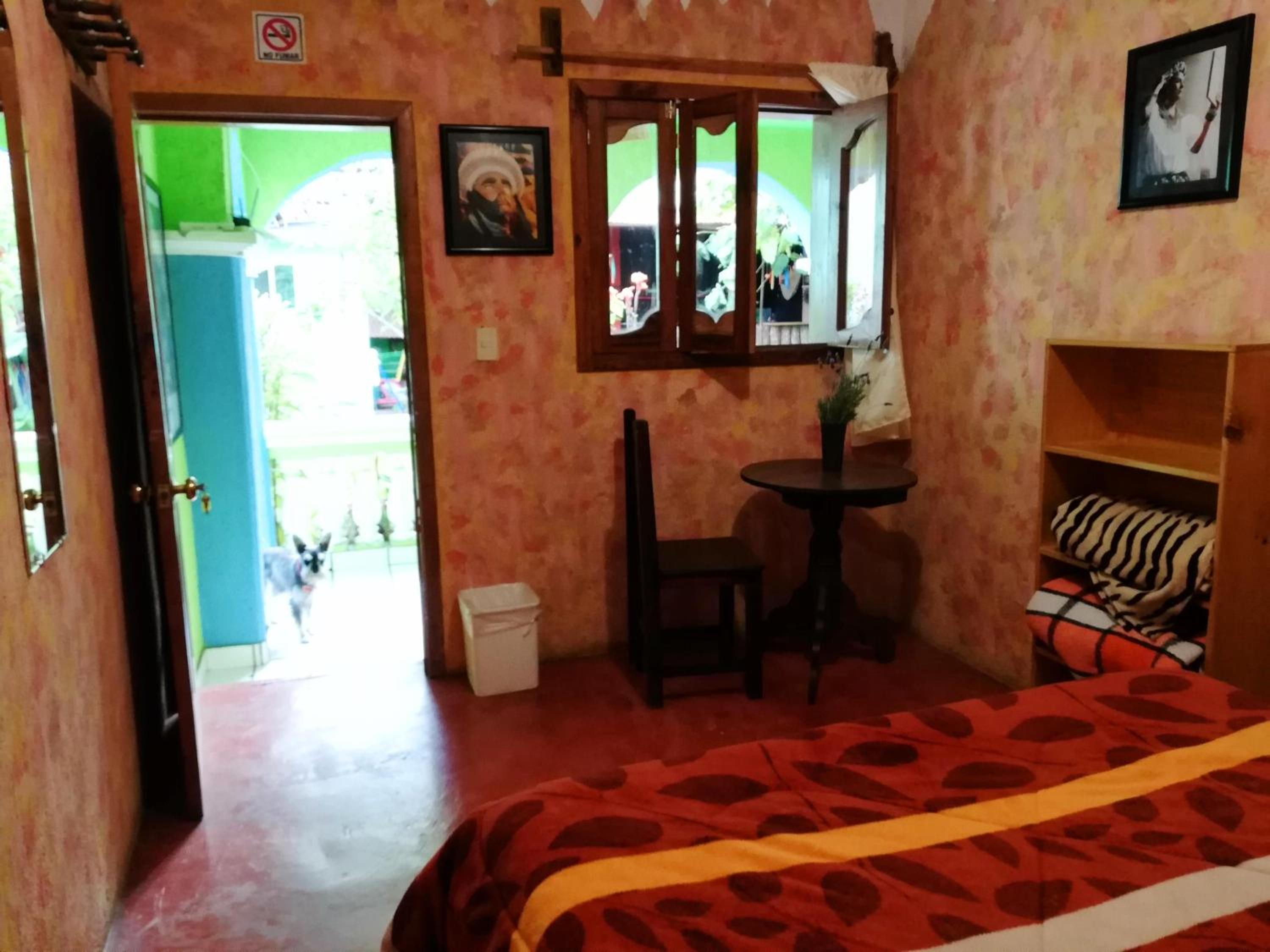 Iguana Hostel view 5