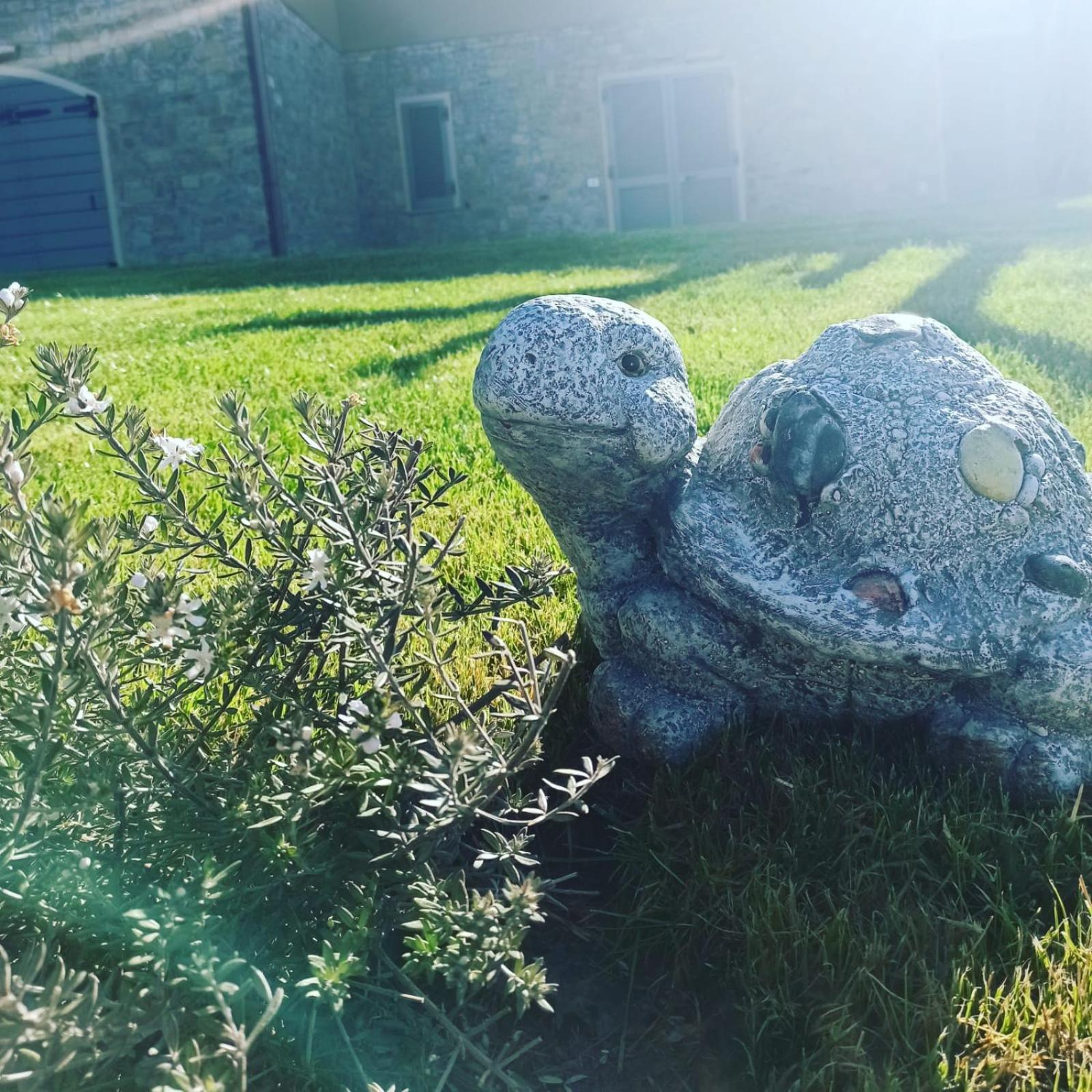 Sogni d'orto