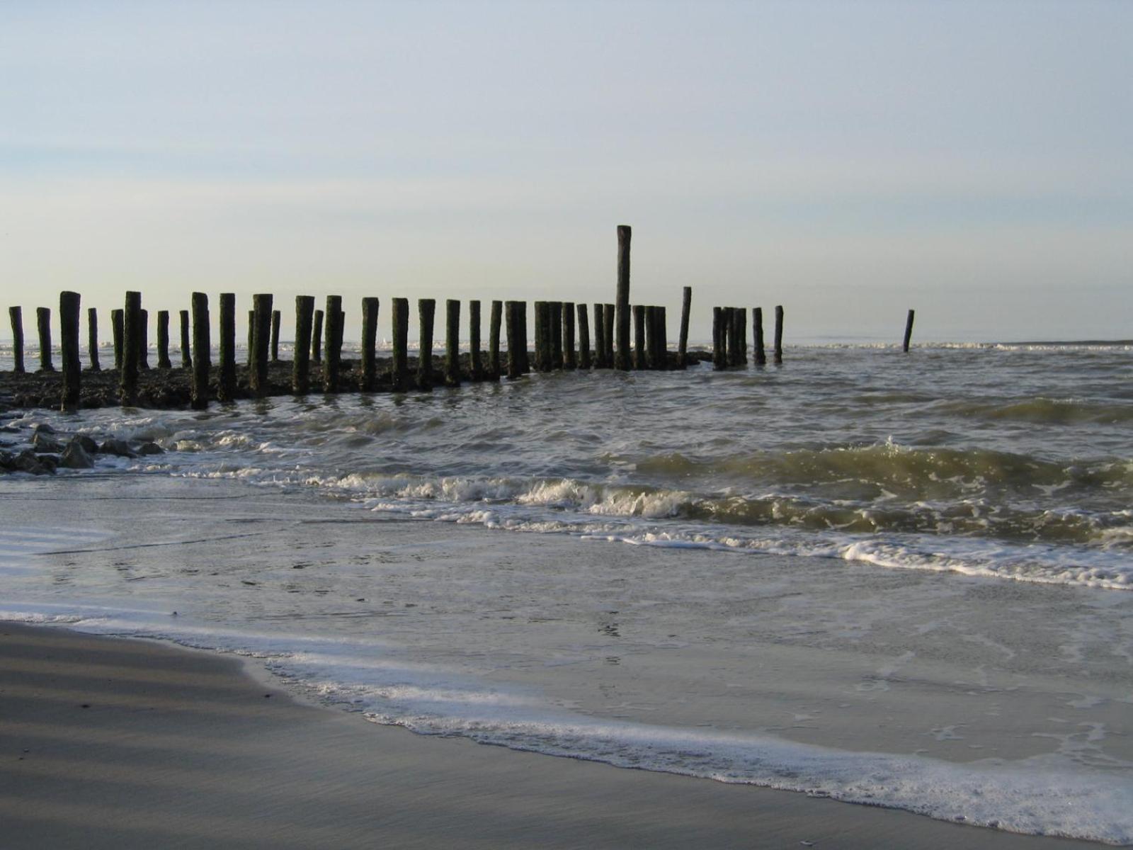 Photo 47