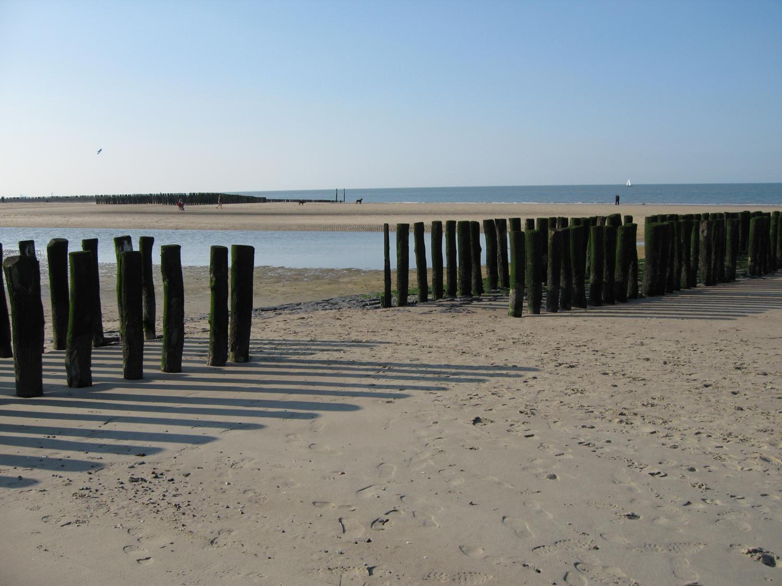 Photo 49