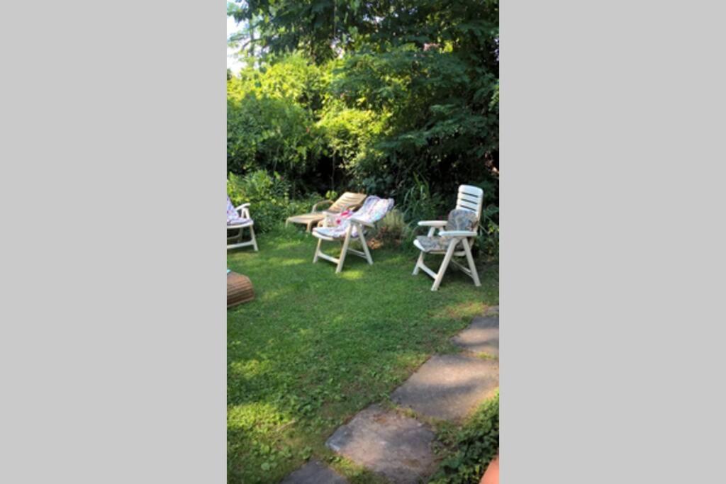 Casa Charming immersa nel verde view 5