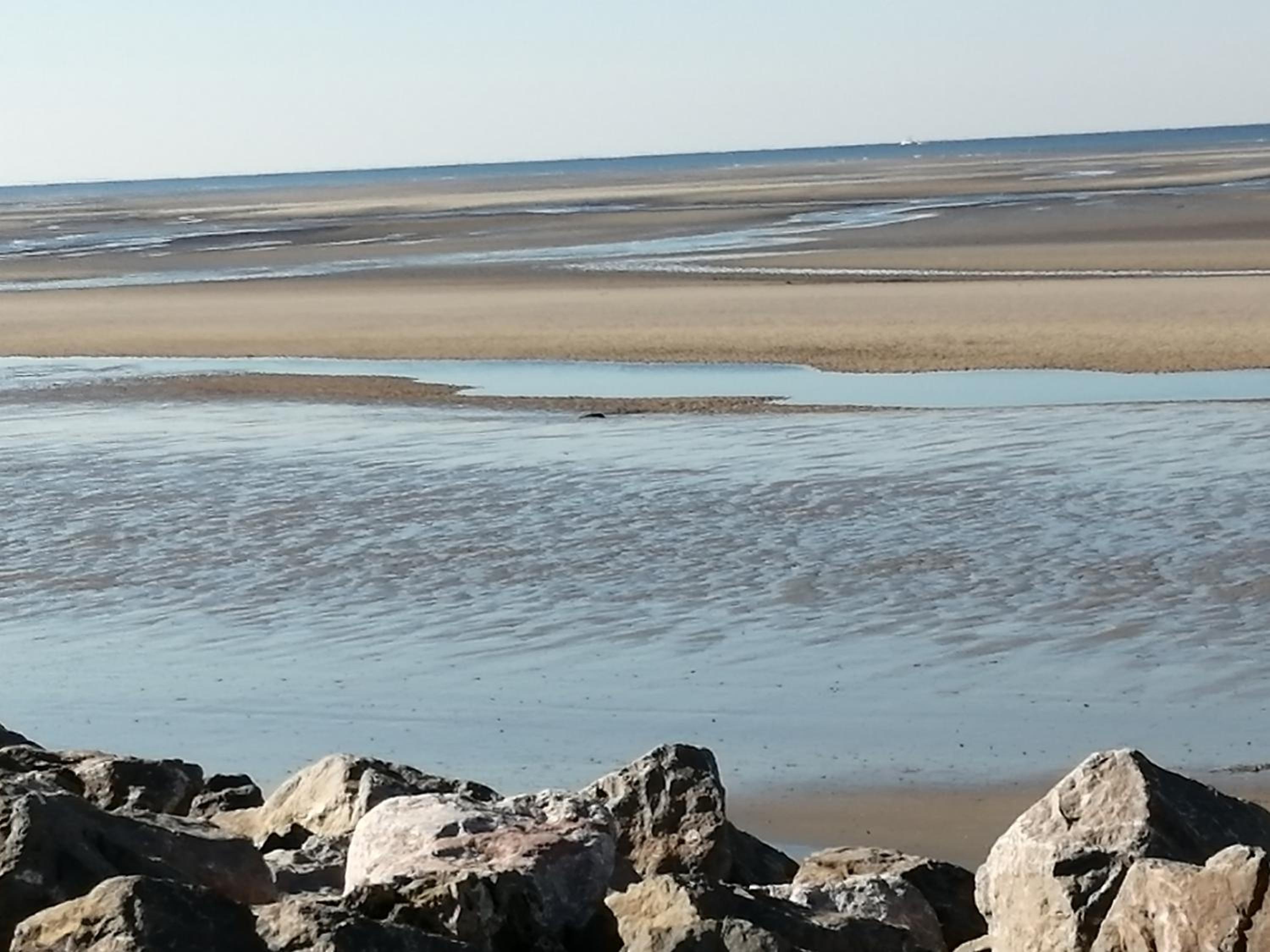 Ste Cécile Plage view 5