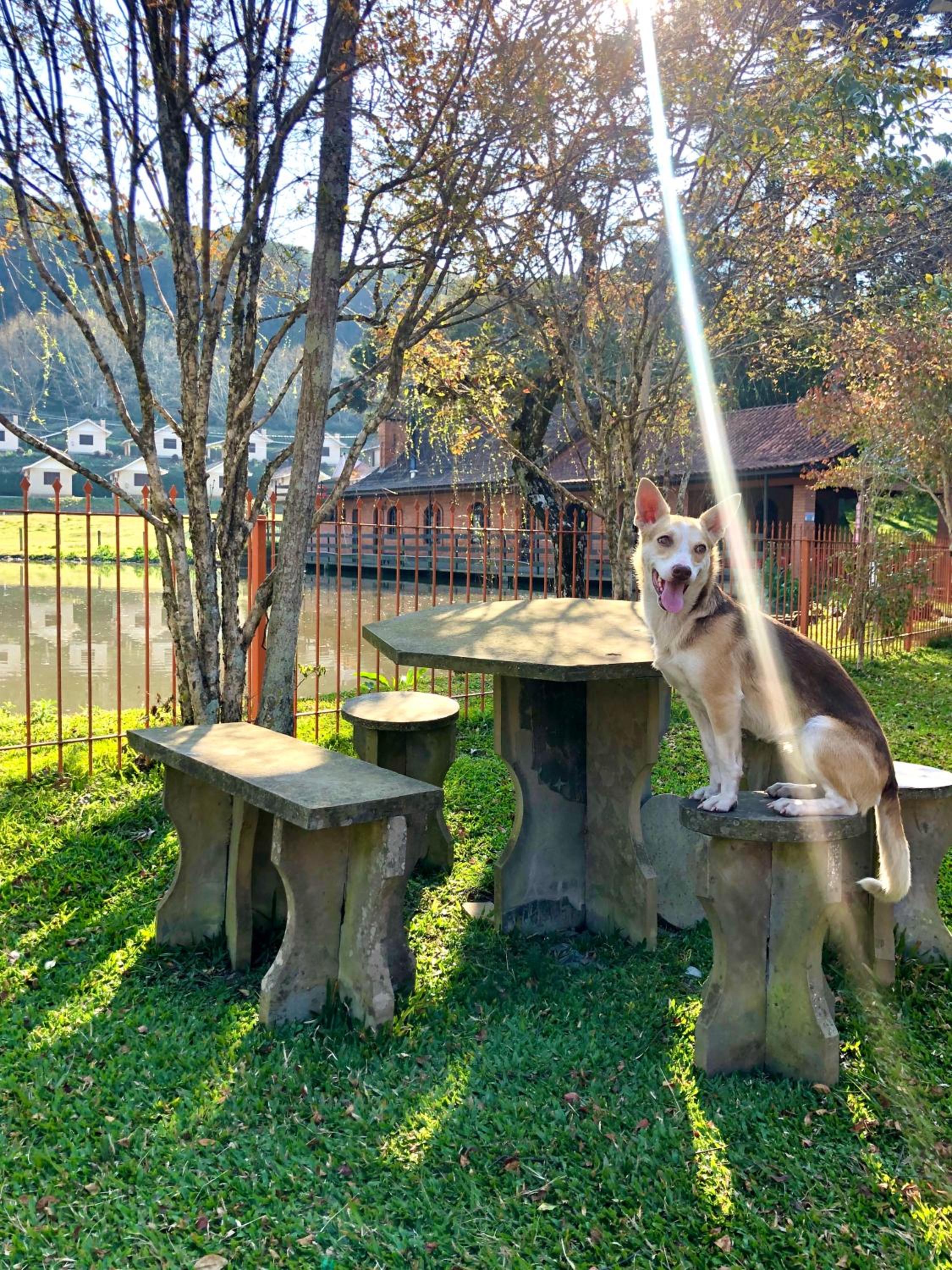 outdoor BBQ area