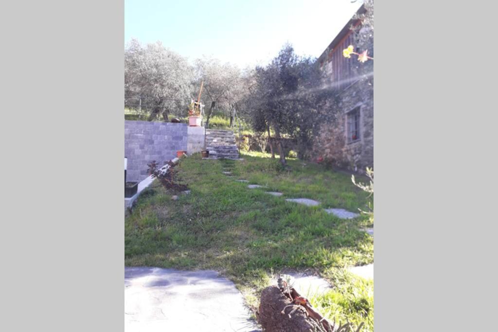 Photo 21