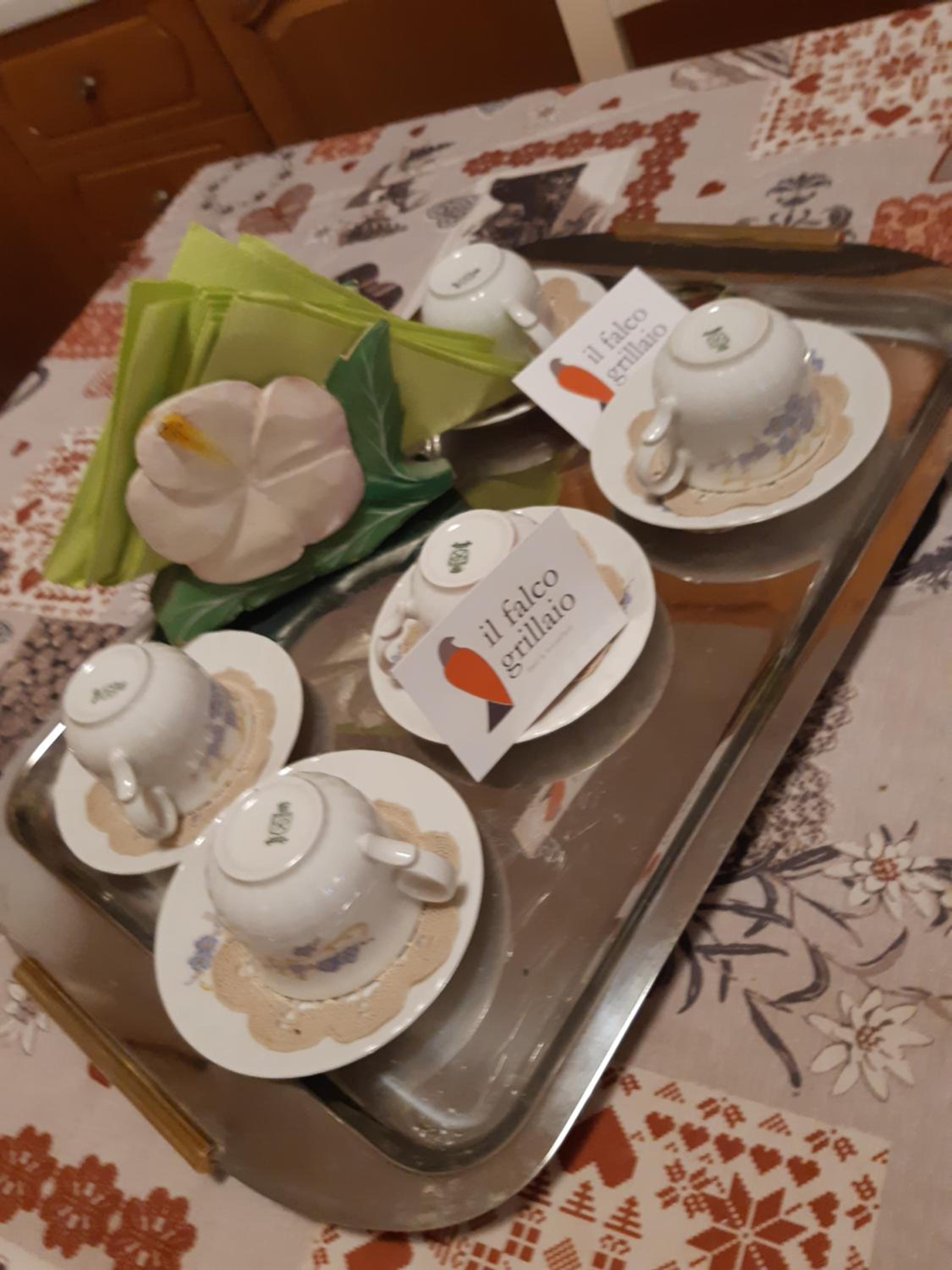 Il Falco Grillaio