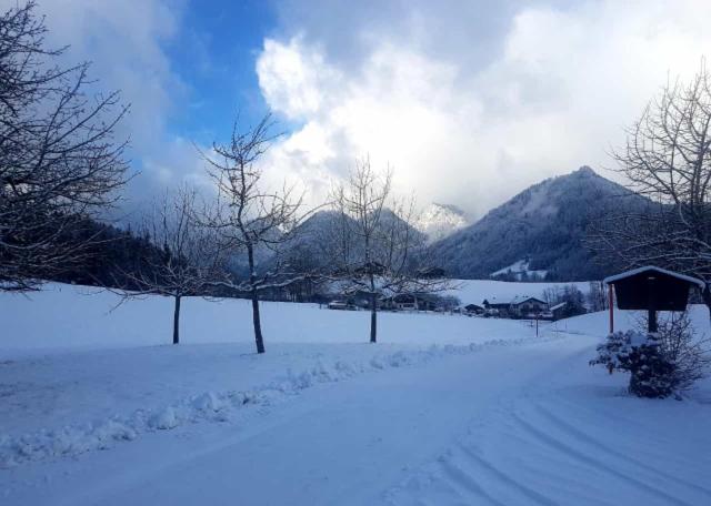 Stockinger Hof view 5
